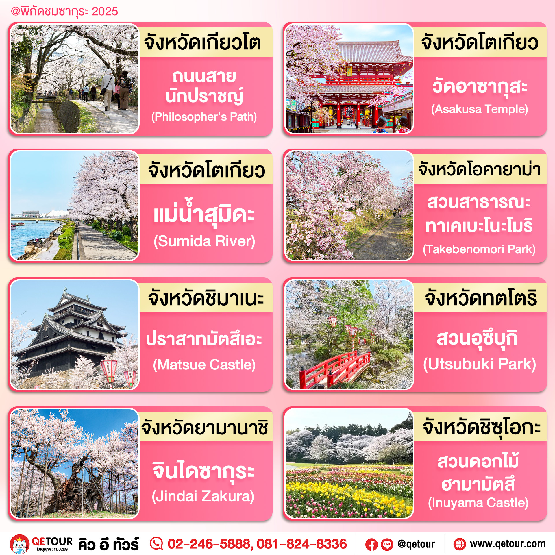 จุดชมซากุระ