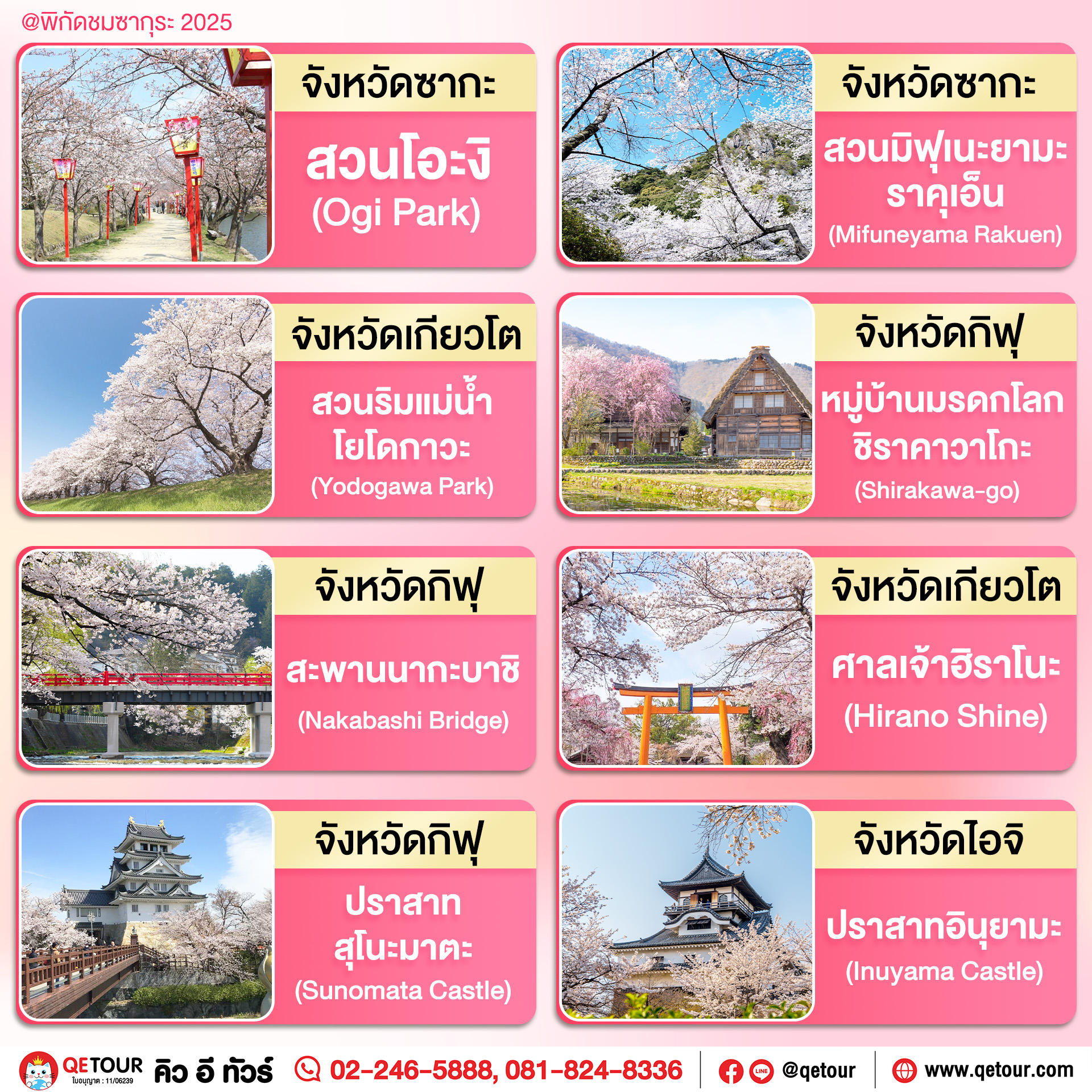จุดชมซากุระ