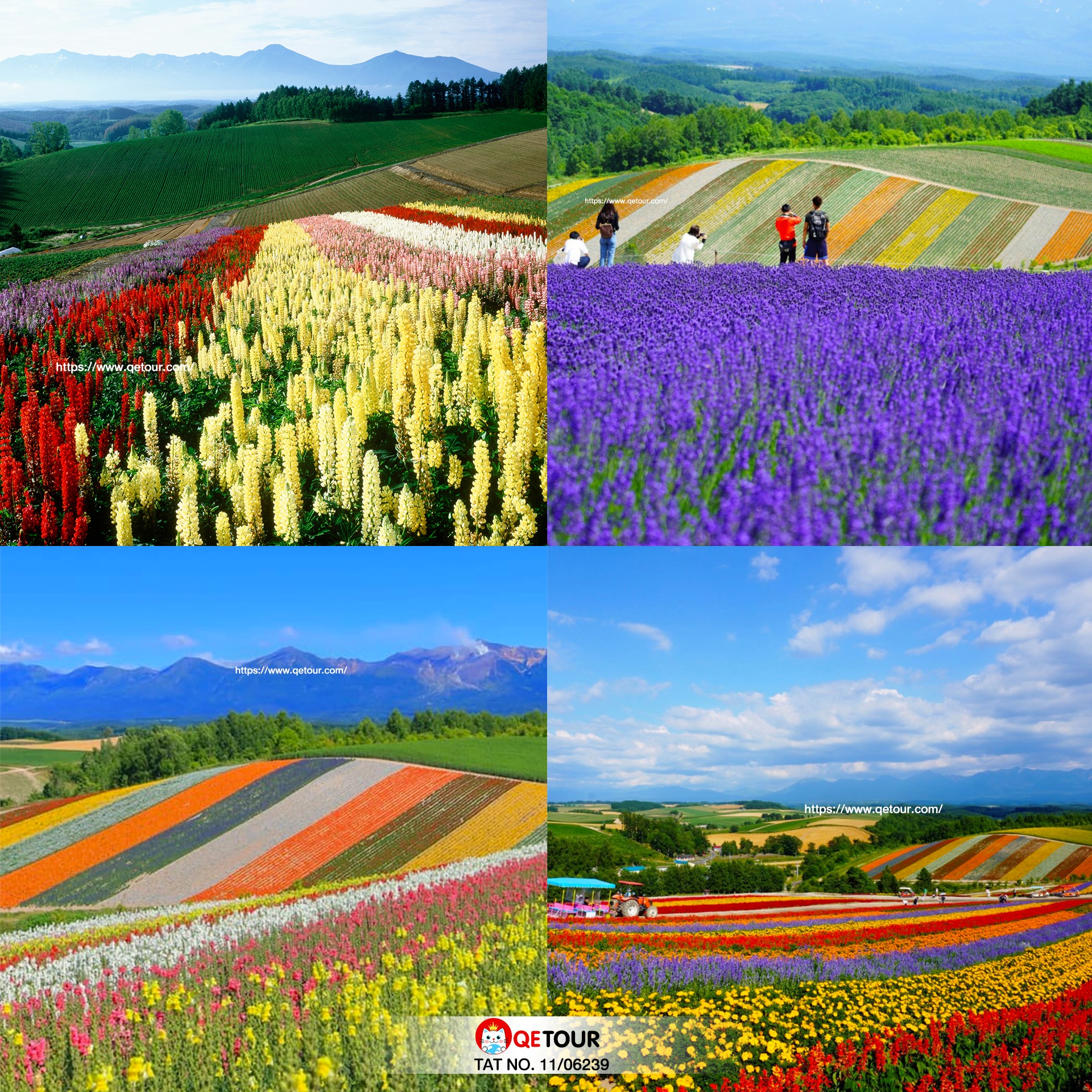 สวน Shikisai no Oka