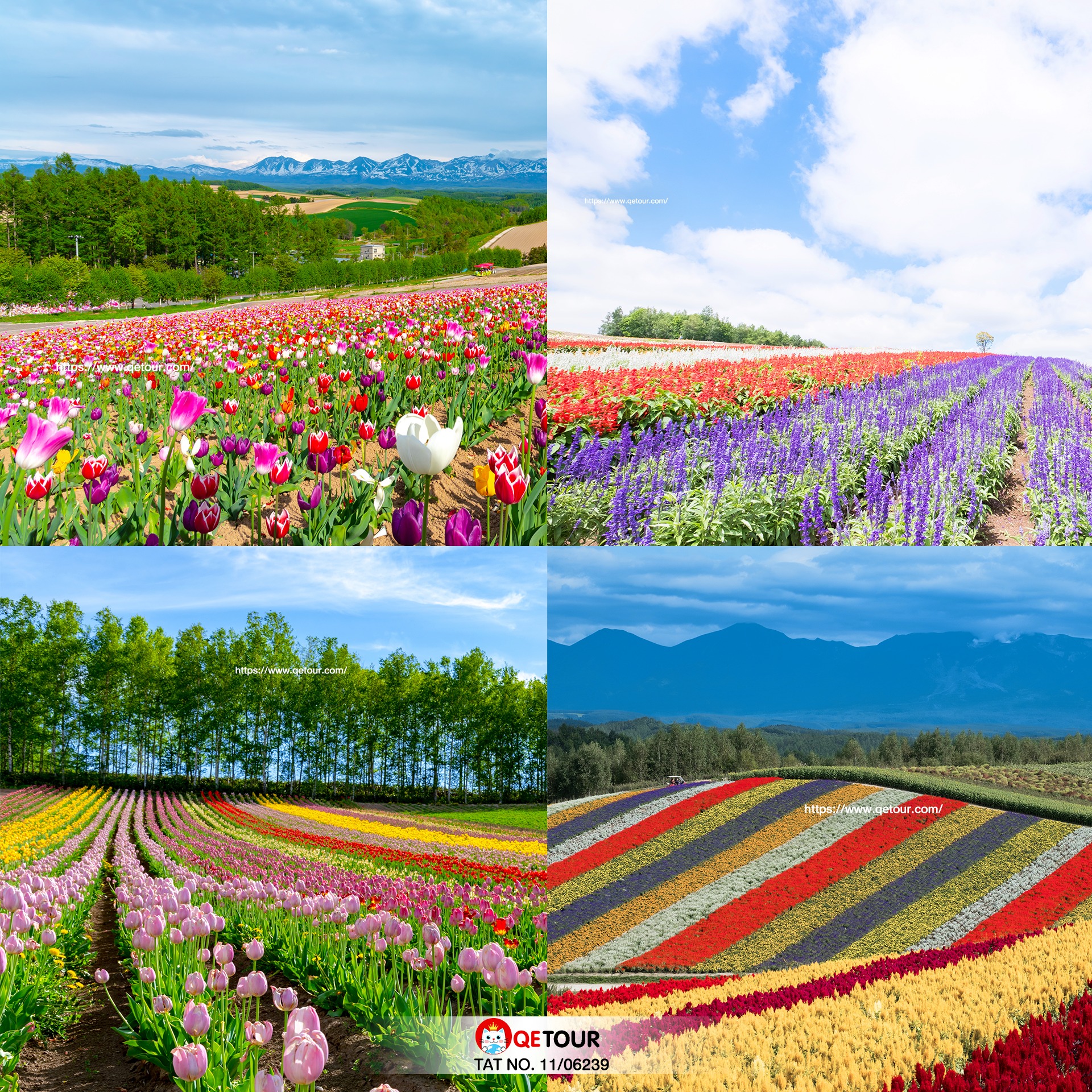 สวน Shikisai no Oka