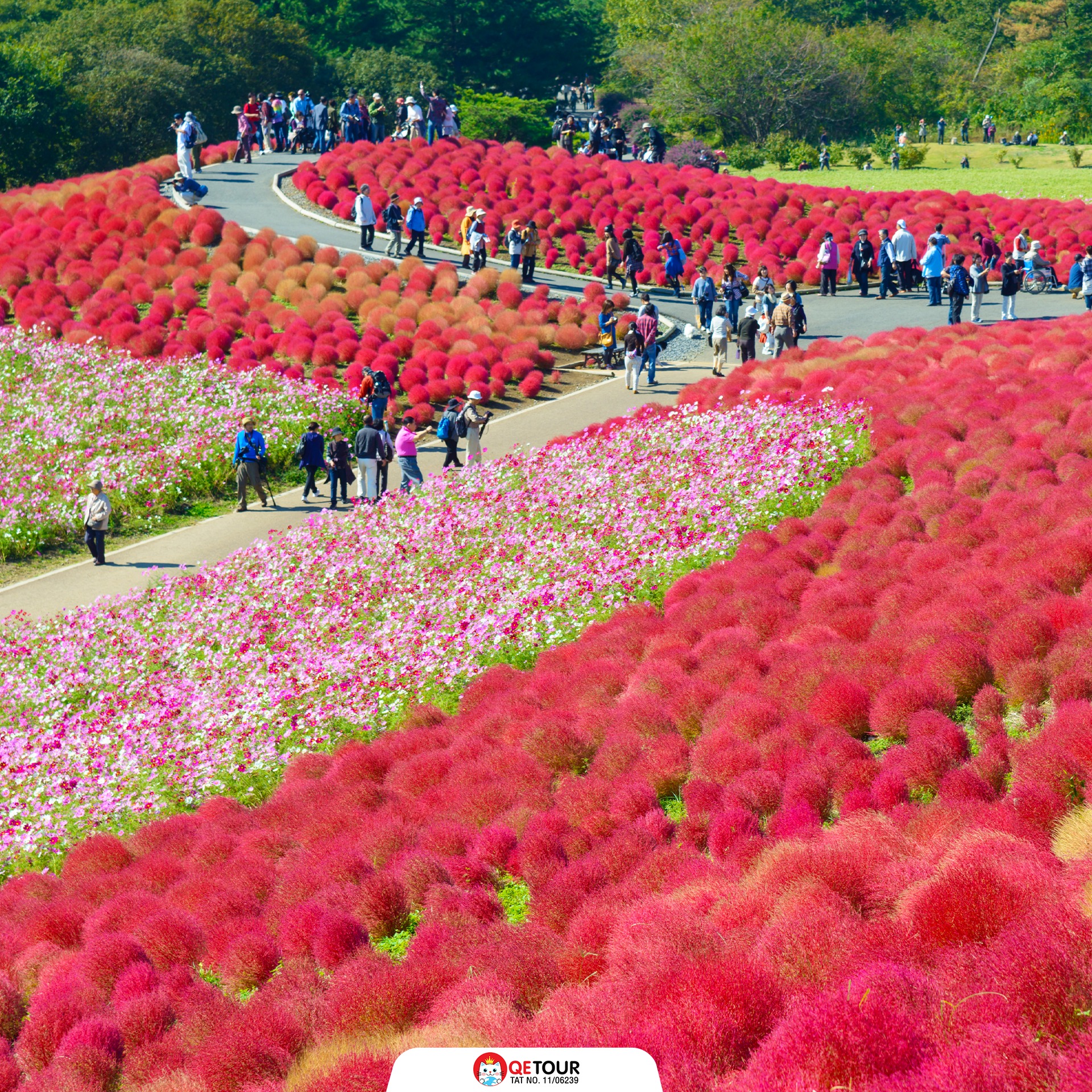สวนฮิตาชิ ซีไซด์ พาร์ค