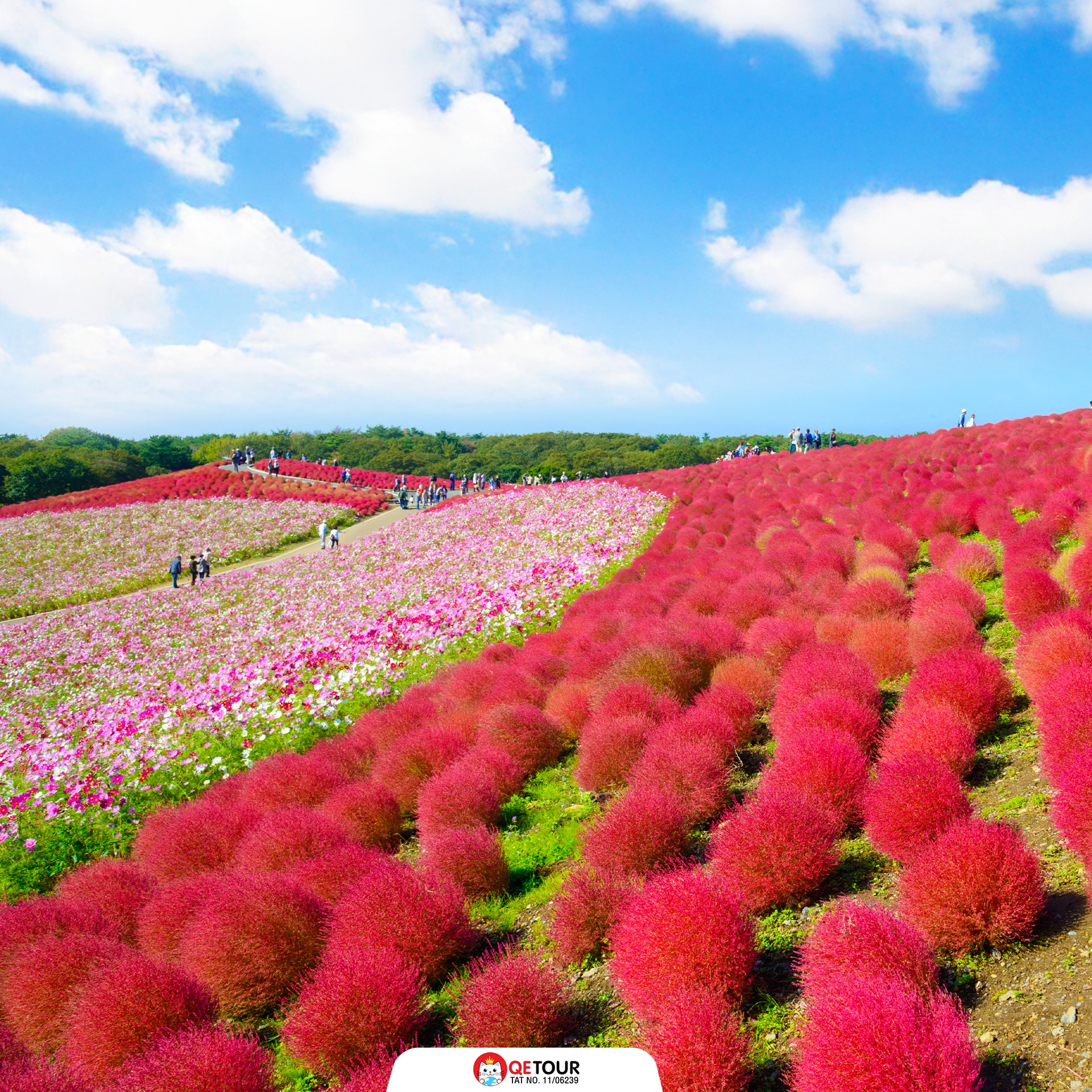 สวนฮิตาชิ ซีไซด์ พาร์ค