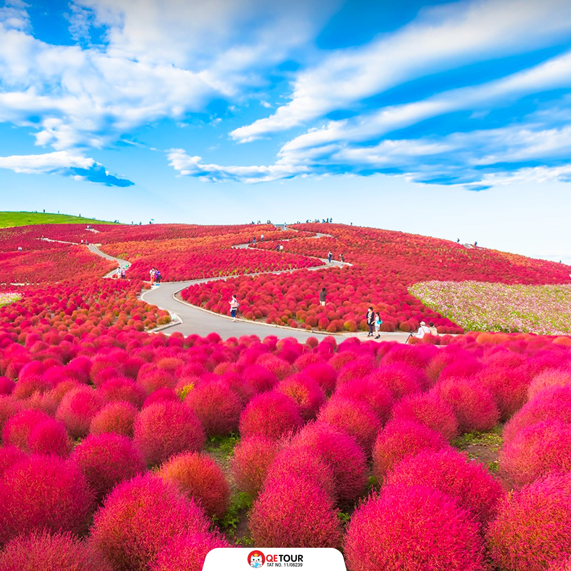 สวนฮิตาชิ ซีไซด์ พาร์ค