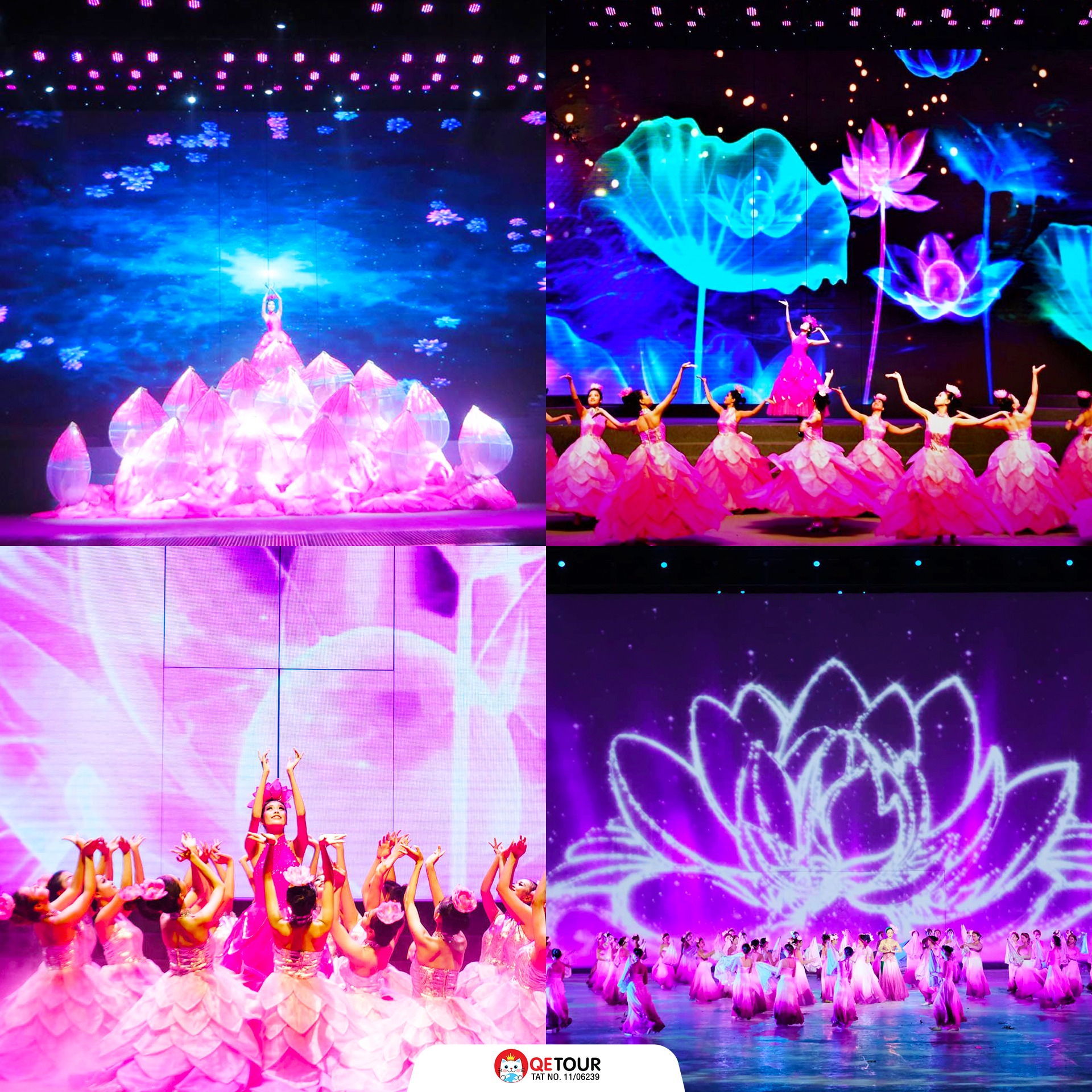 โชว์ CHARMING DANANG 