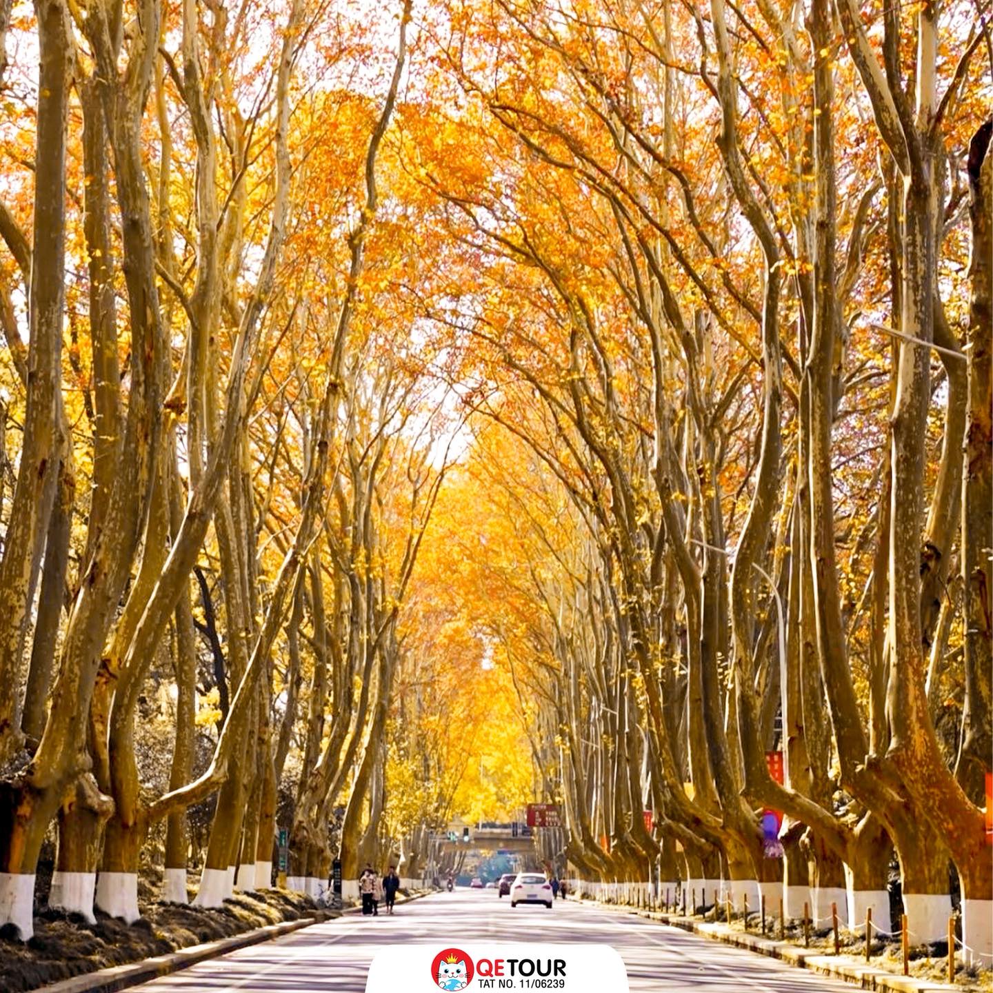 ถนนอู่ท่ง จีน