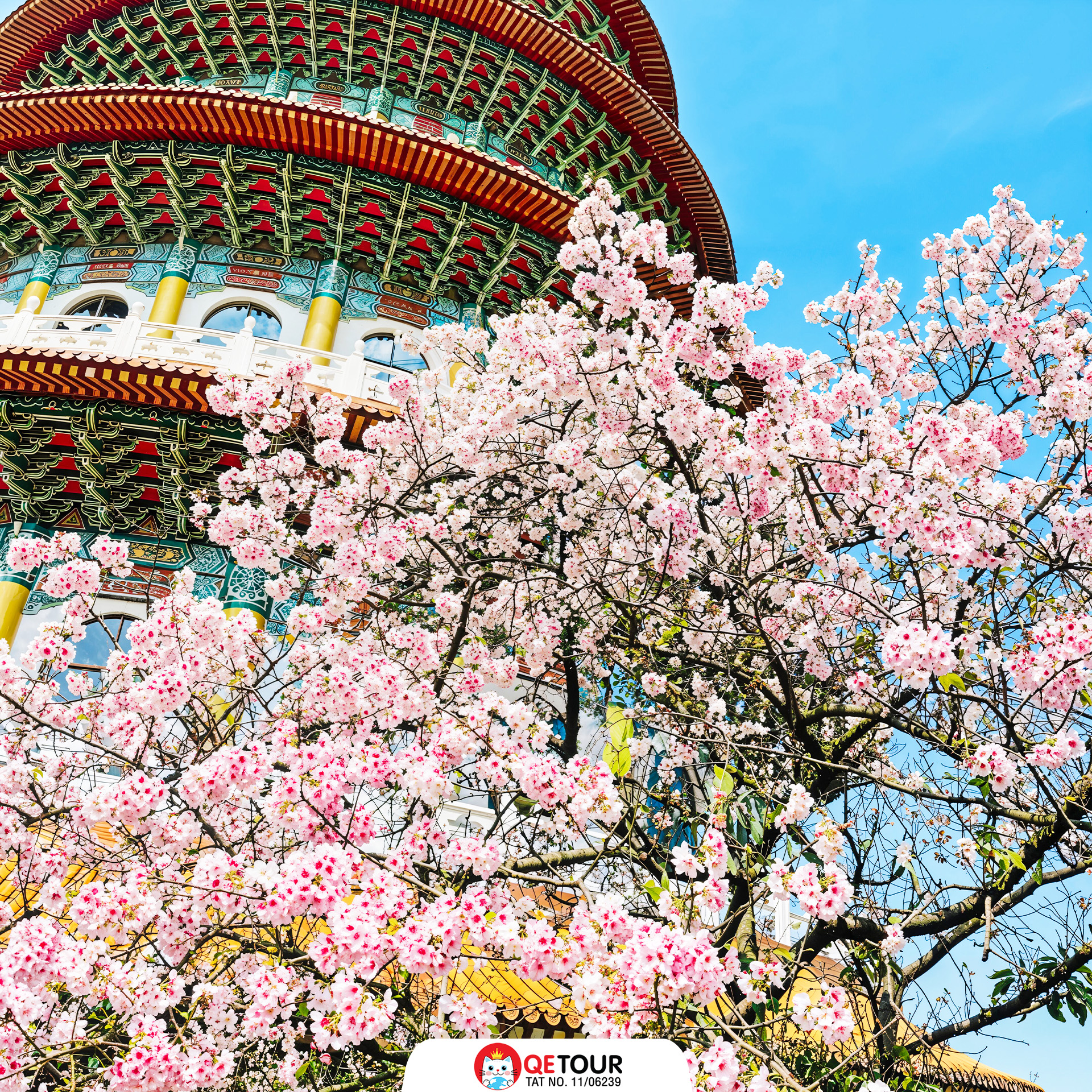 วัดเทียนหยวน ซากุระ