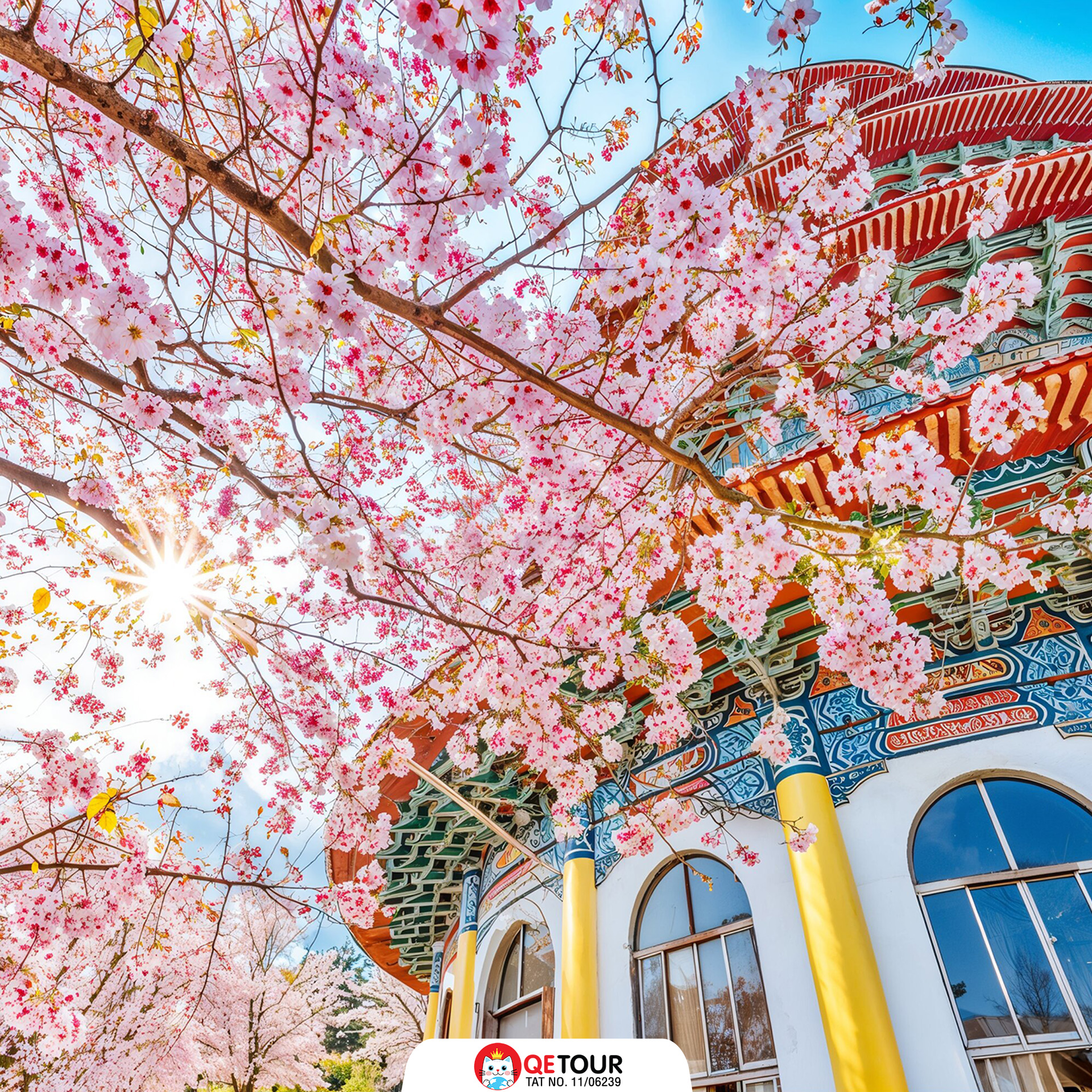 วัดเทียนหยวน ซากุระ