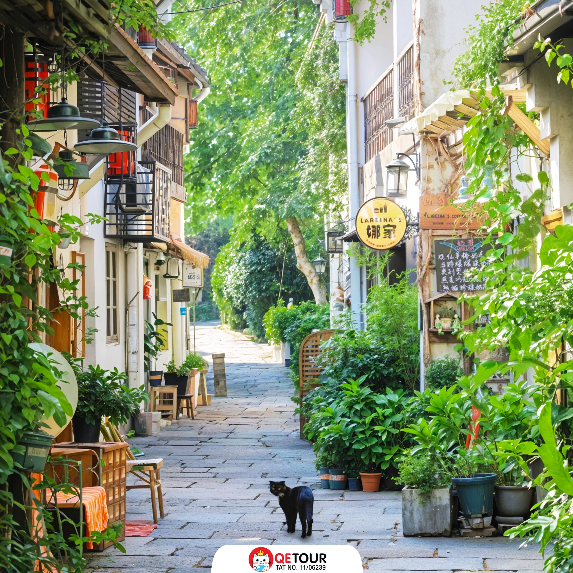 เที่ยวเมืองโบราณ จีน