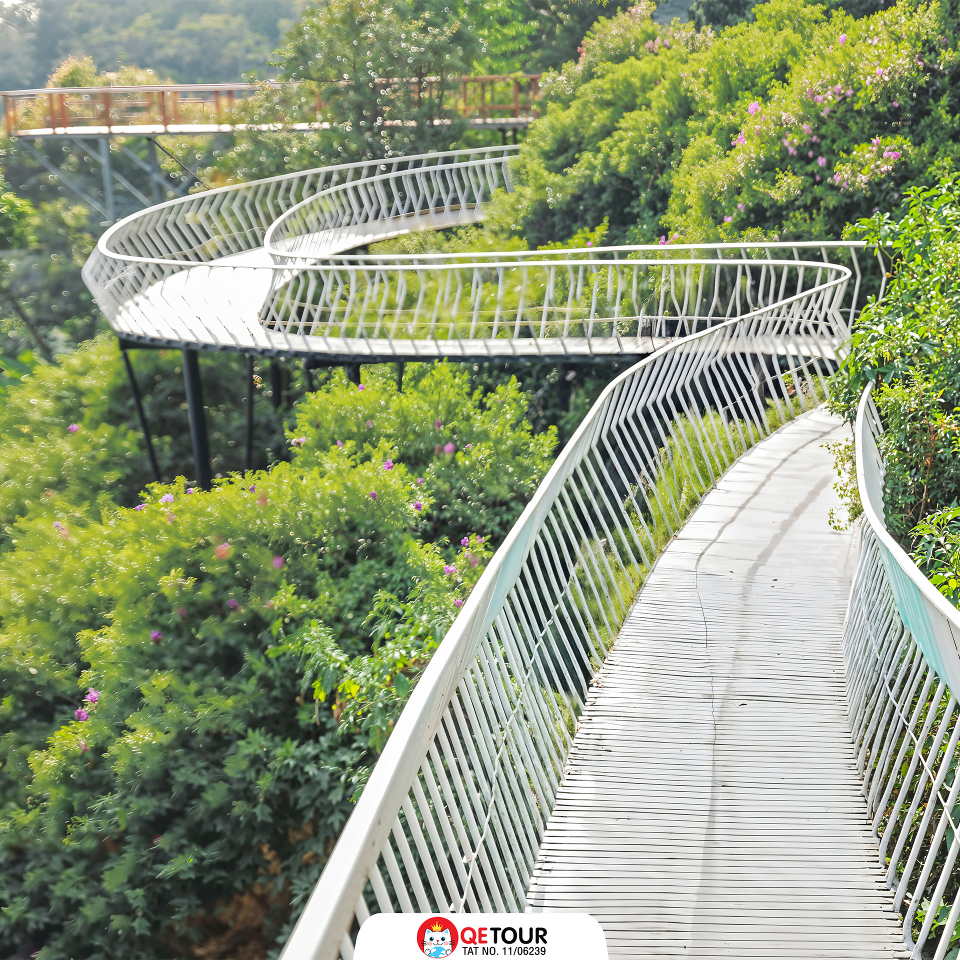 สะพานเมฆ ตามด๋าว