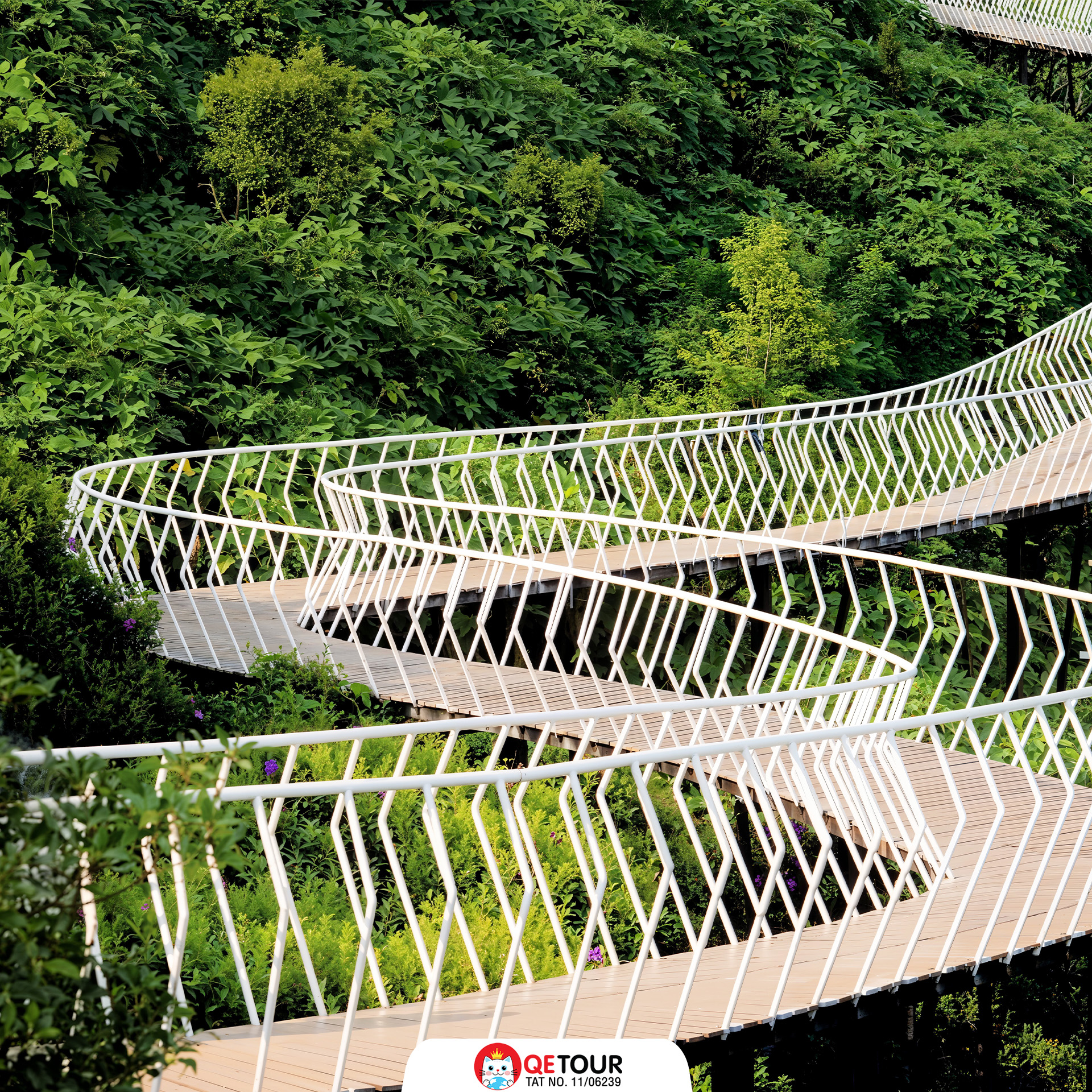 สะพานเมฆ ตามด๋าว