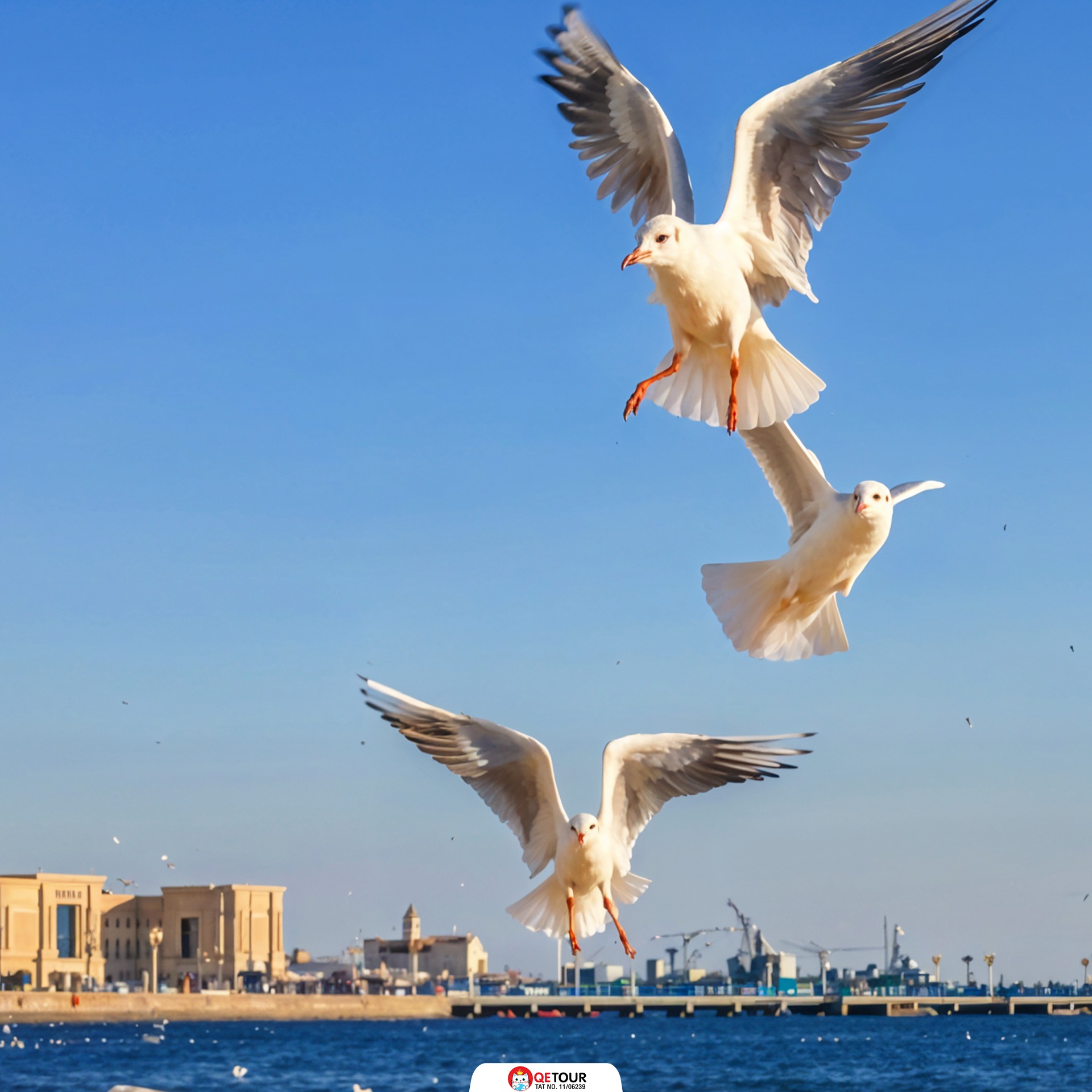 ท่าเรือจ้านเฉียว