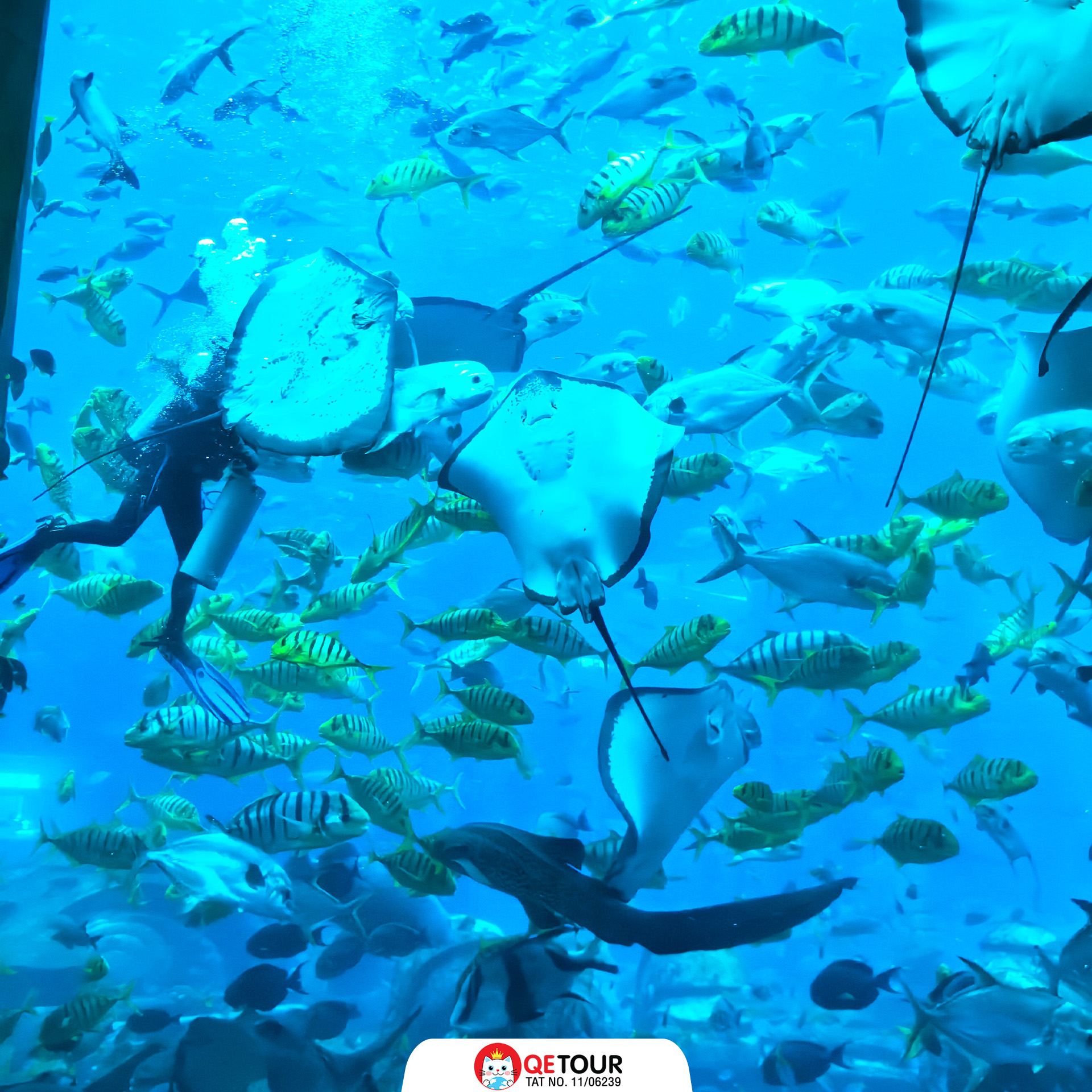 atlantis sanya รีวิว