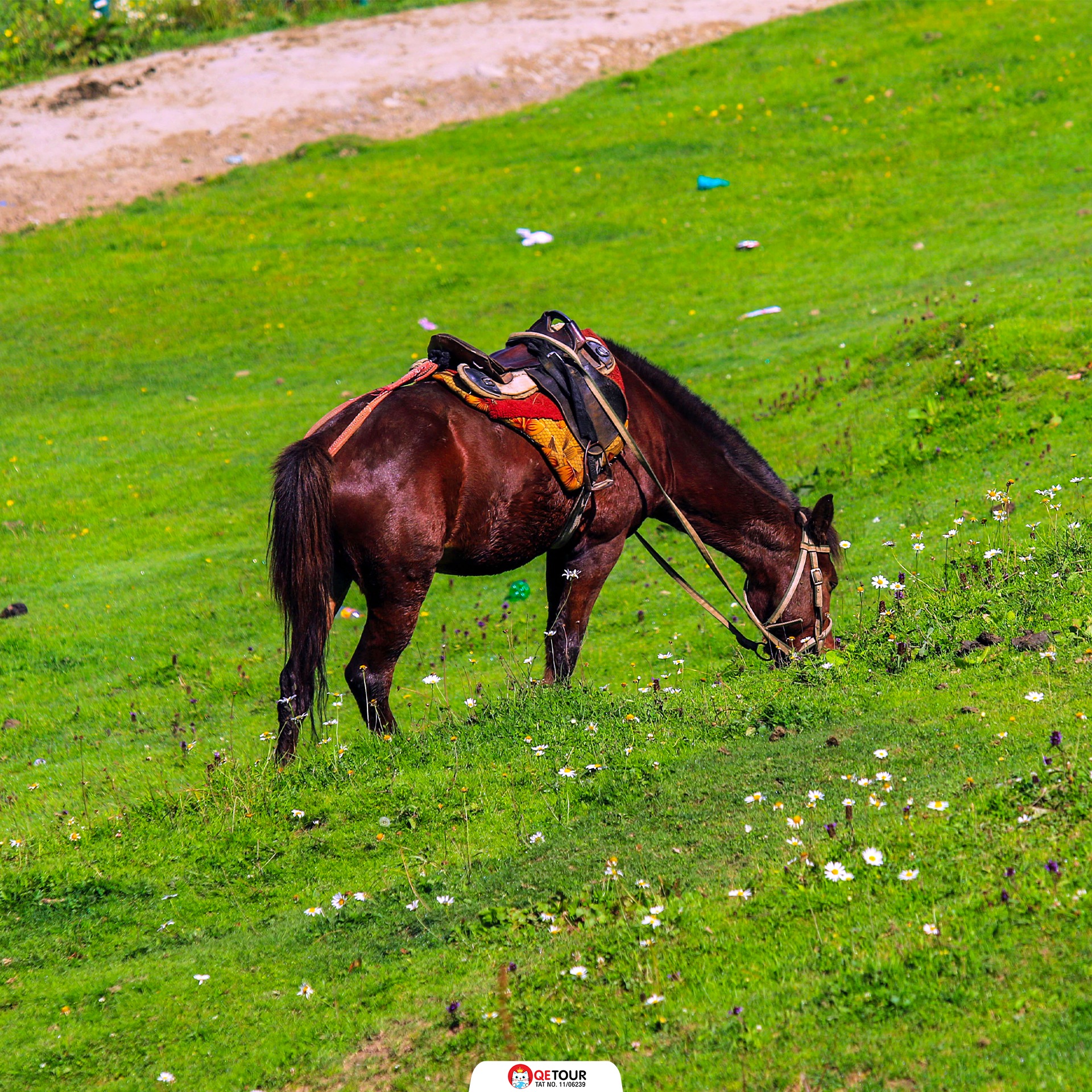 กุลมาร์ค แคชเมียร์