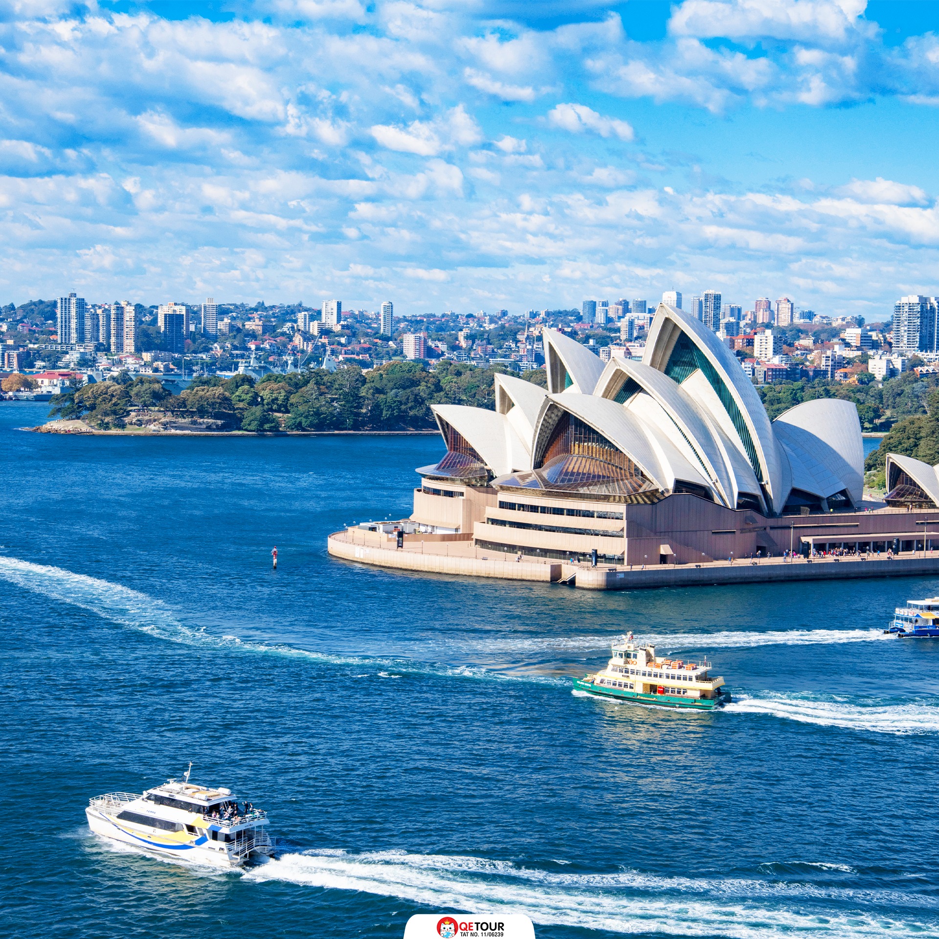 ล่องเรืออ่าวซิดนีย์