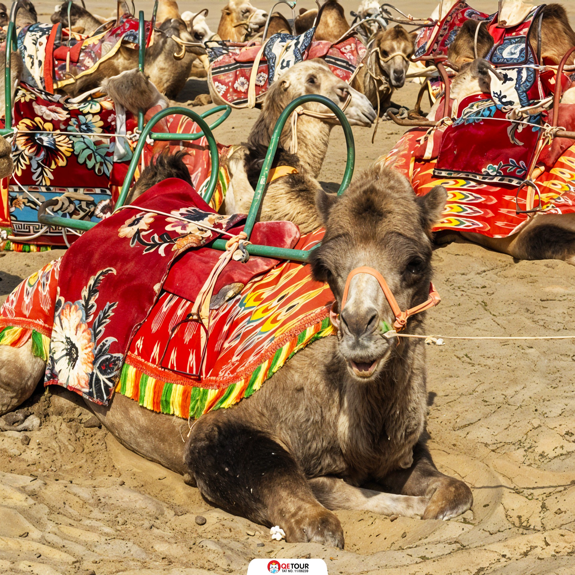 ทะเลทรายทากลามากัน