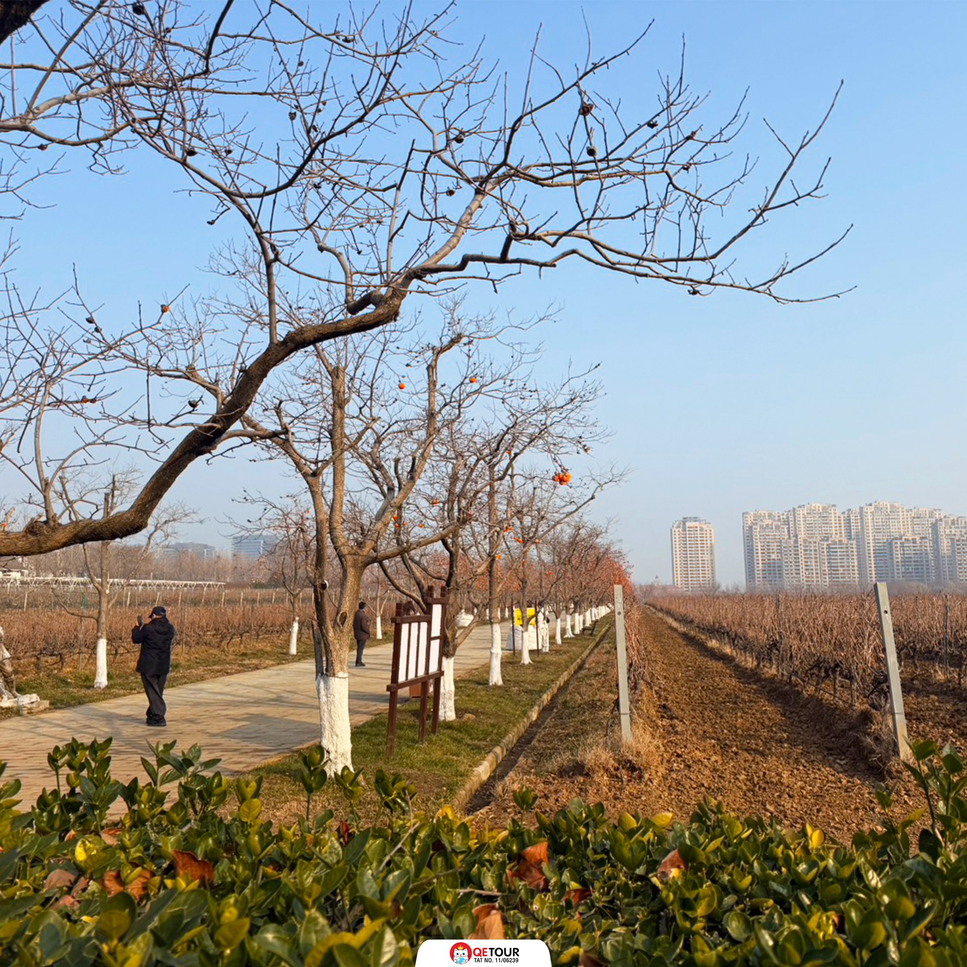 คฤหาสน์จางหยู