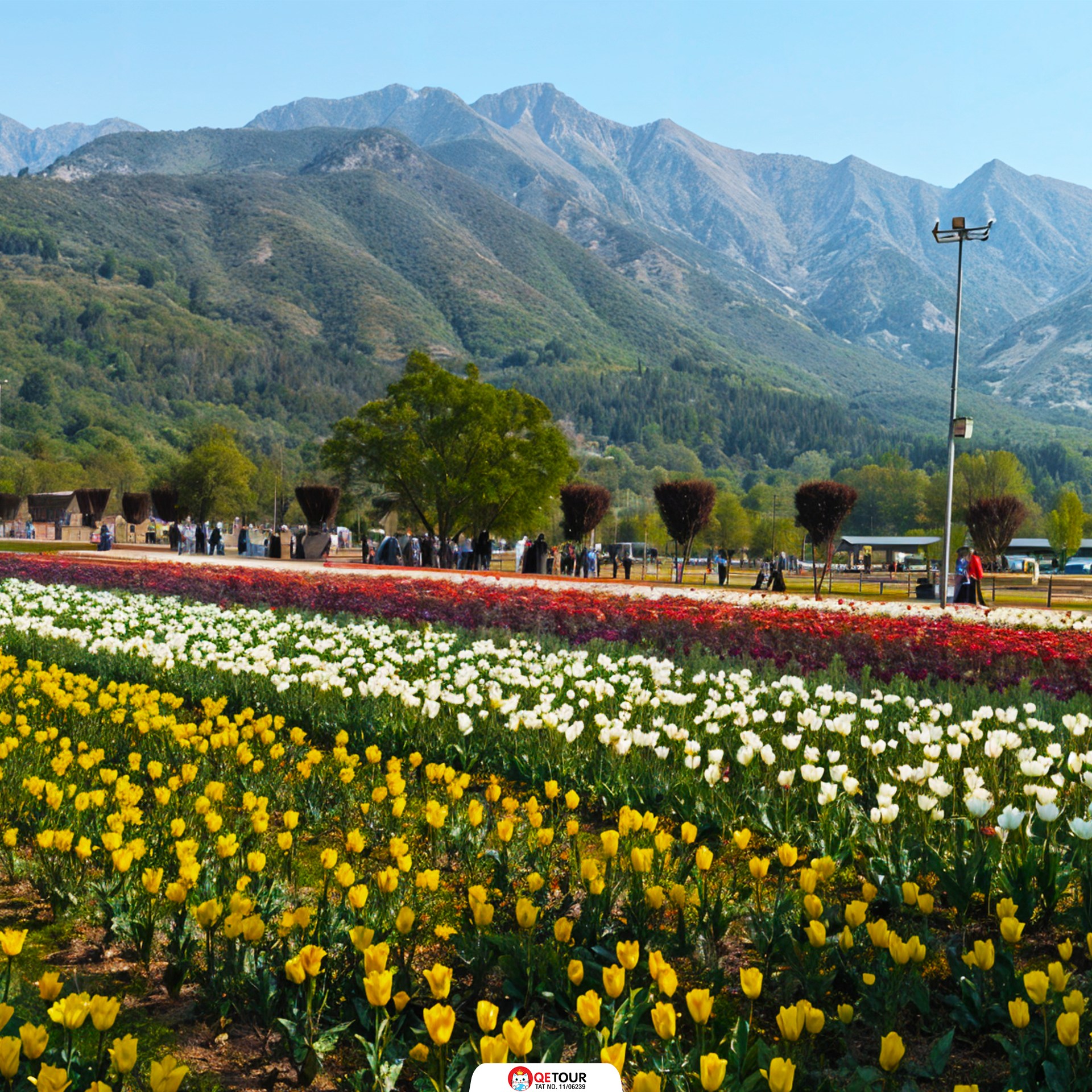 สวนทิวลิป แคชเมียร์