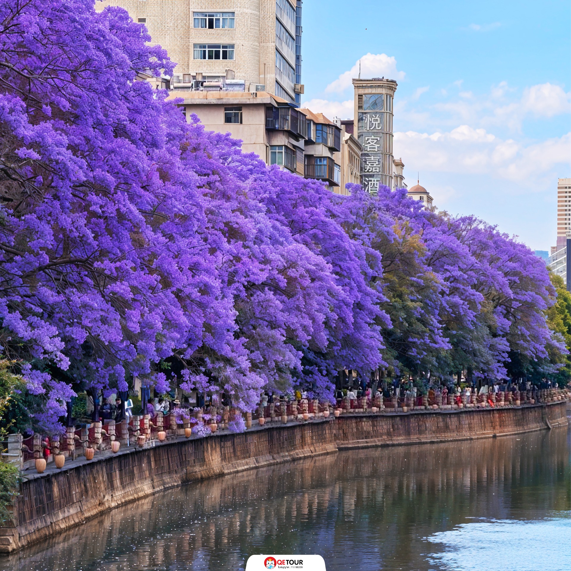 ถนนดอกศรีตรัง คุนหมิง