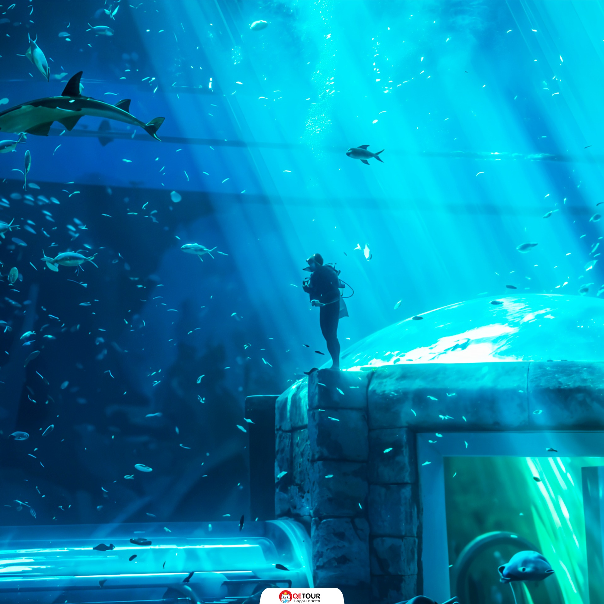 อควาเรียม ฟู้ก๊วก