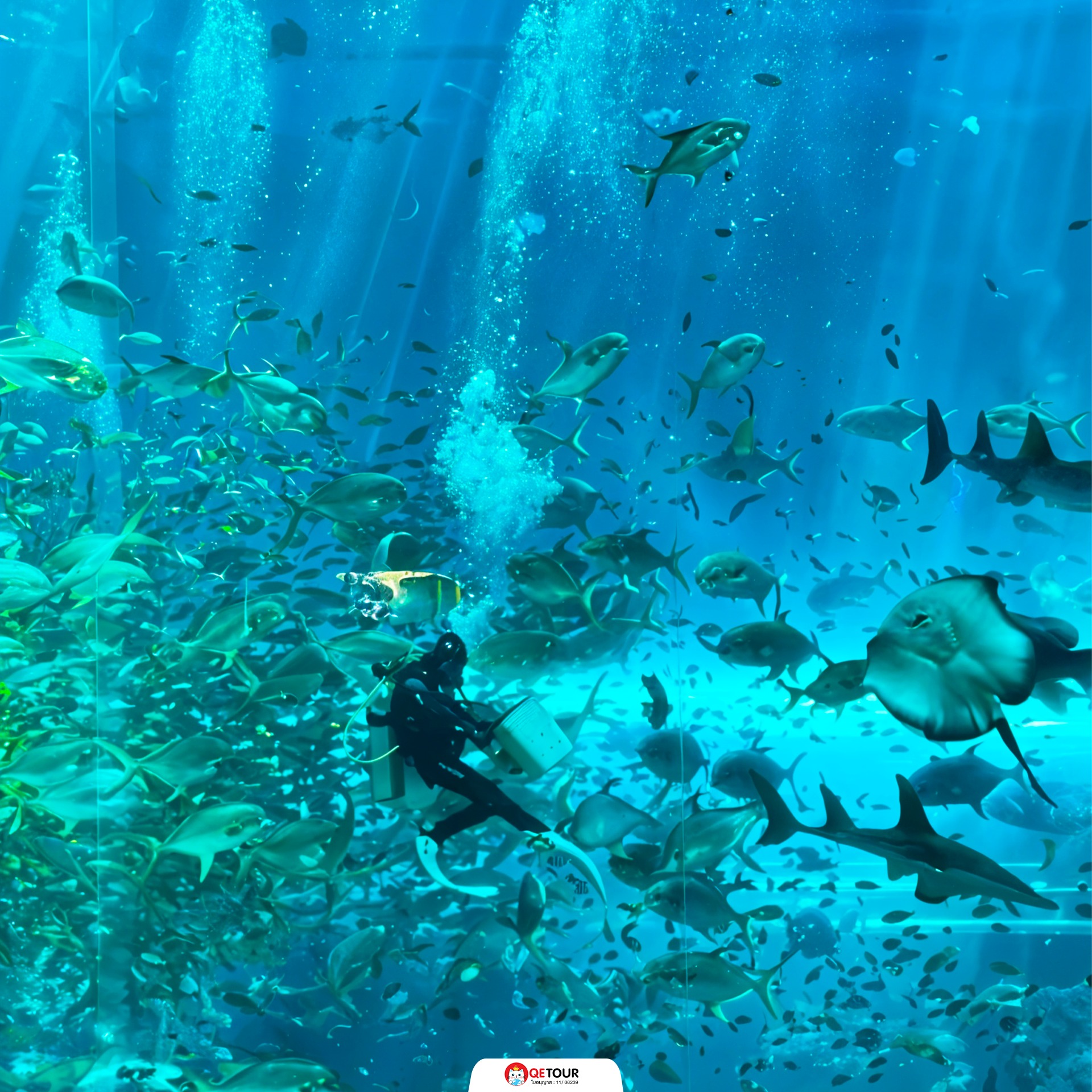 อควาเรียม ฟู้ก๊วก