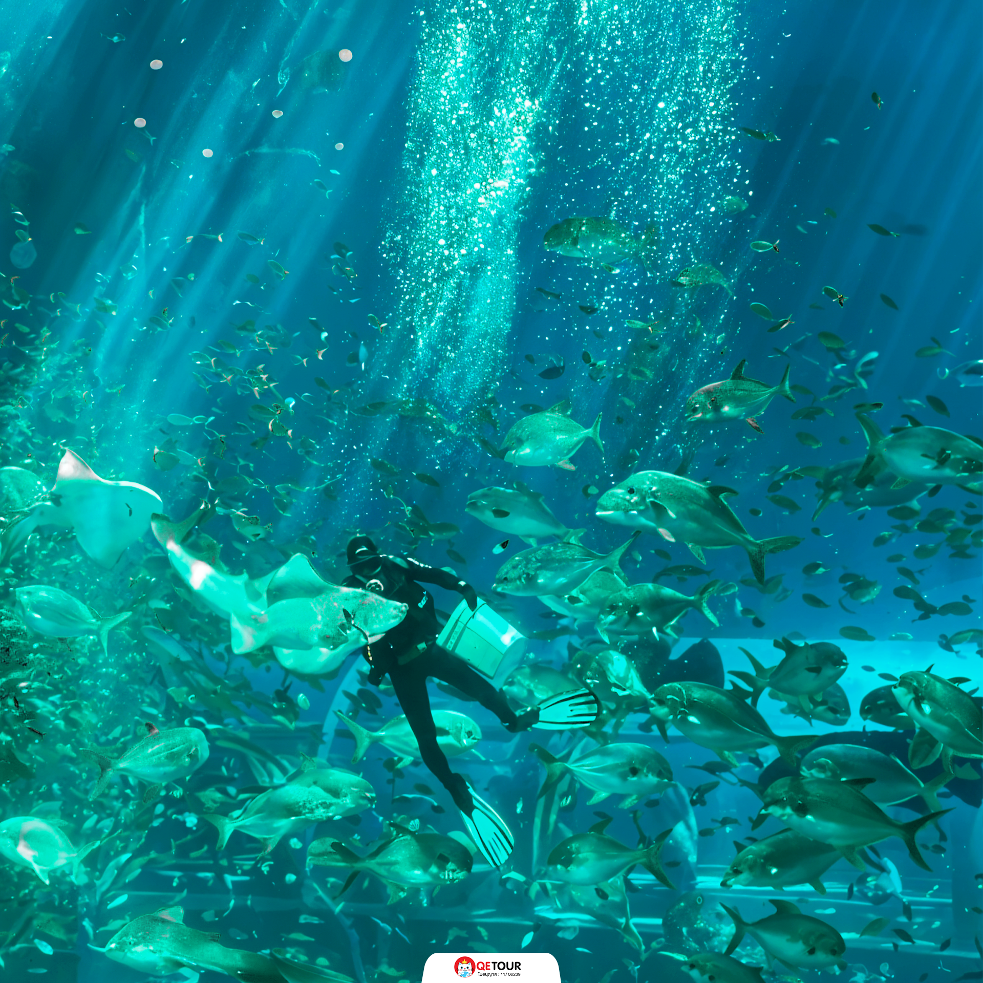 อควาเรียม ฟู้ก๊วก