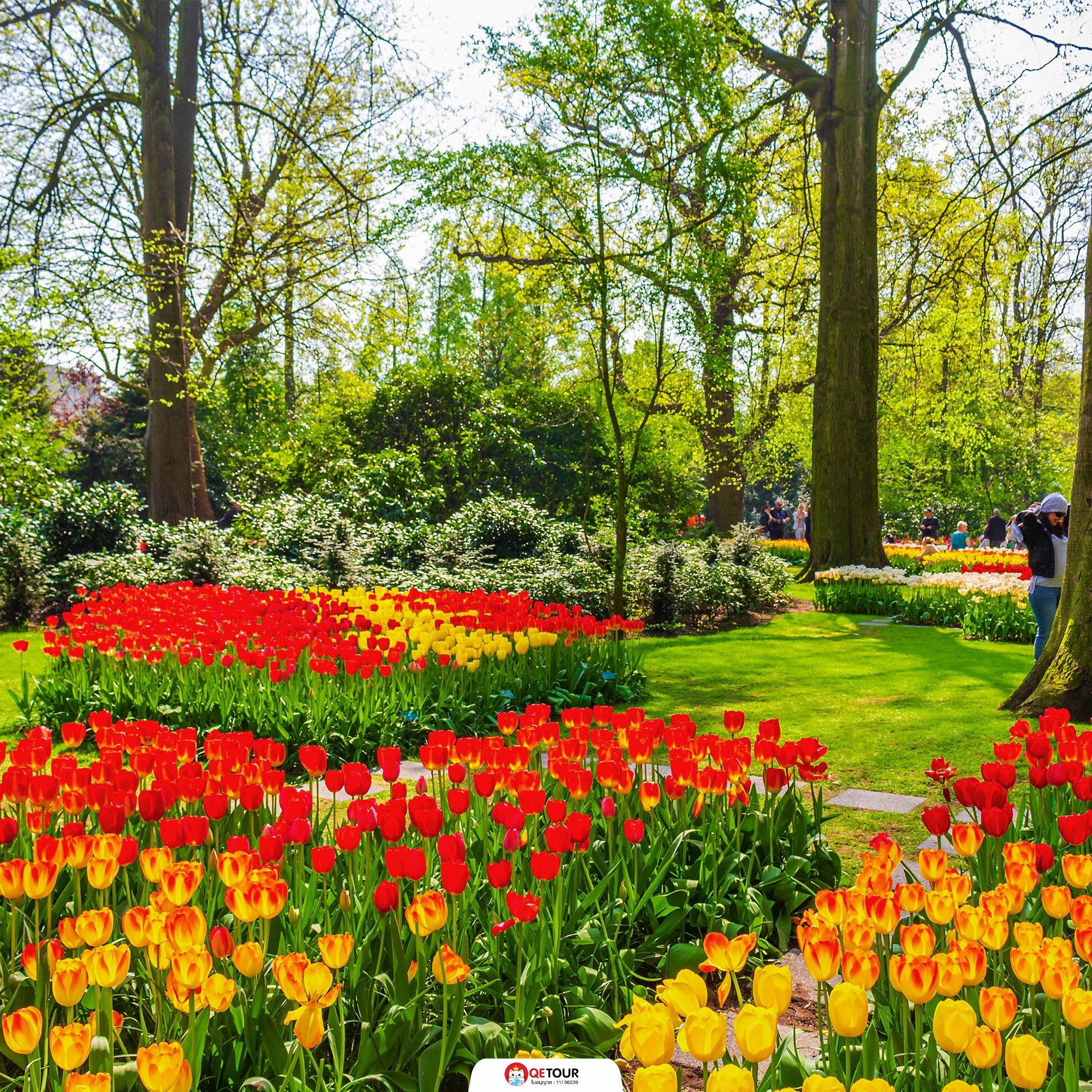 สวนเคอเคนฮอฟ เนเธอร์แลนด์