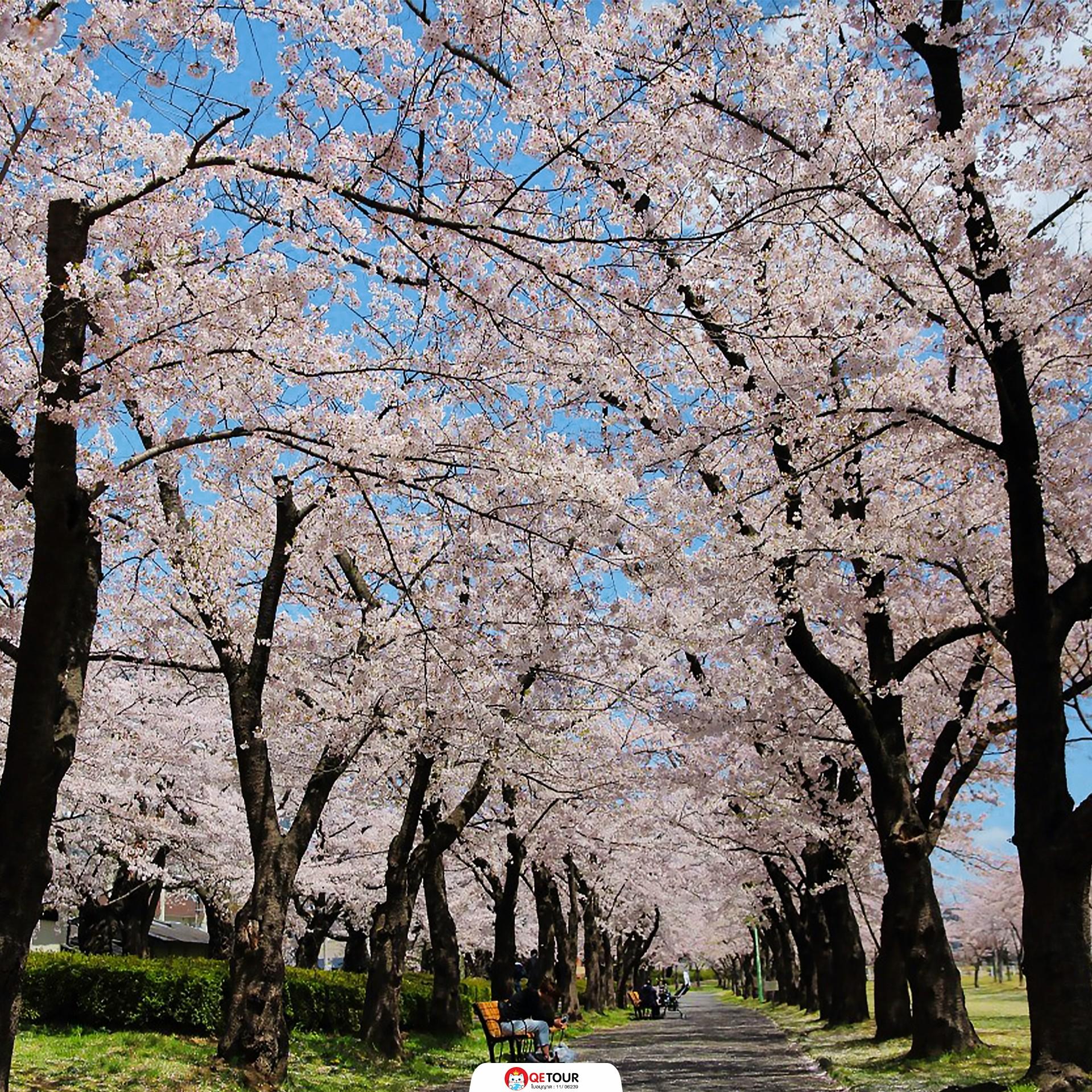 สวนไคเซซังเอ็น