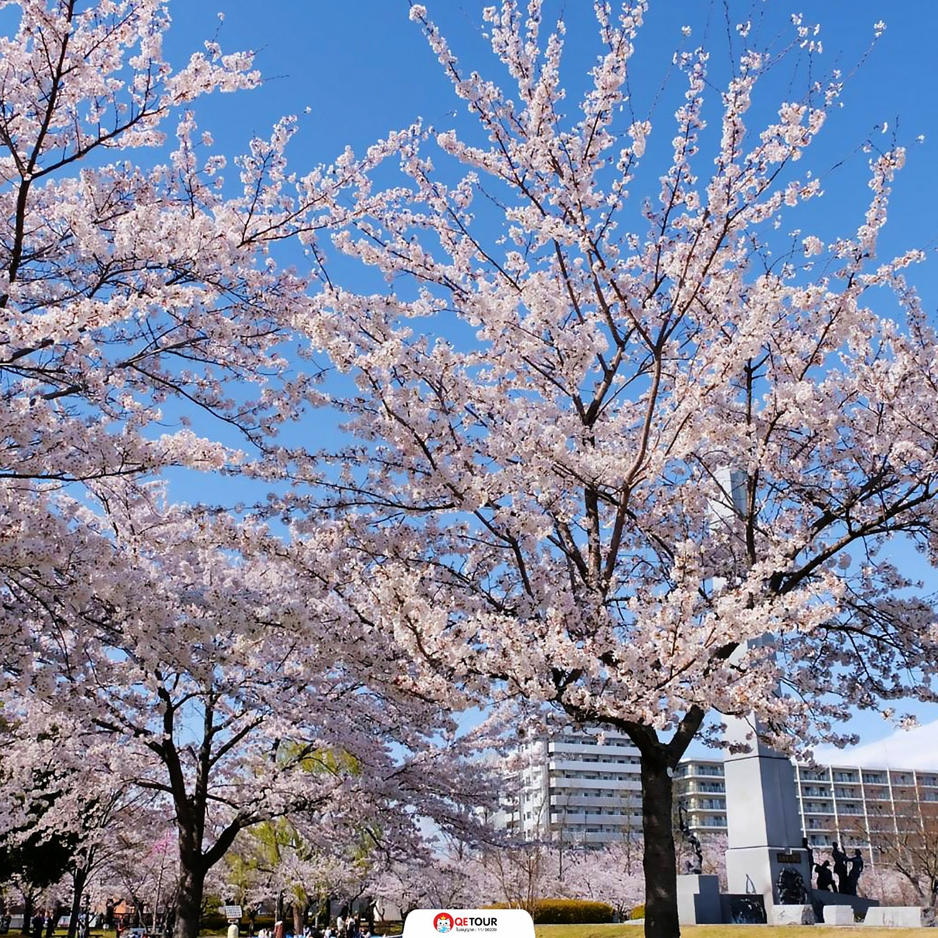 สวนไคเซซังเอ็น