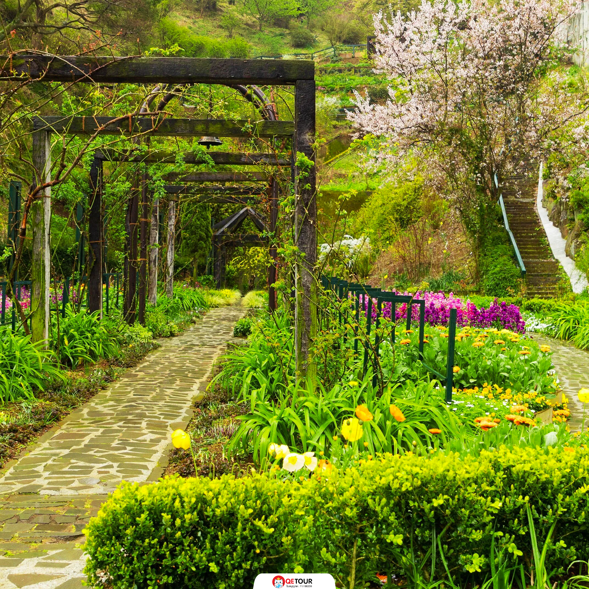 สวนกุหลาบ อาตามิ