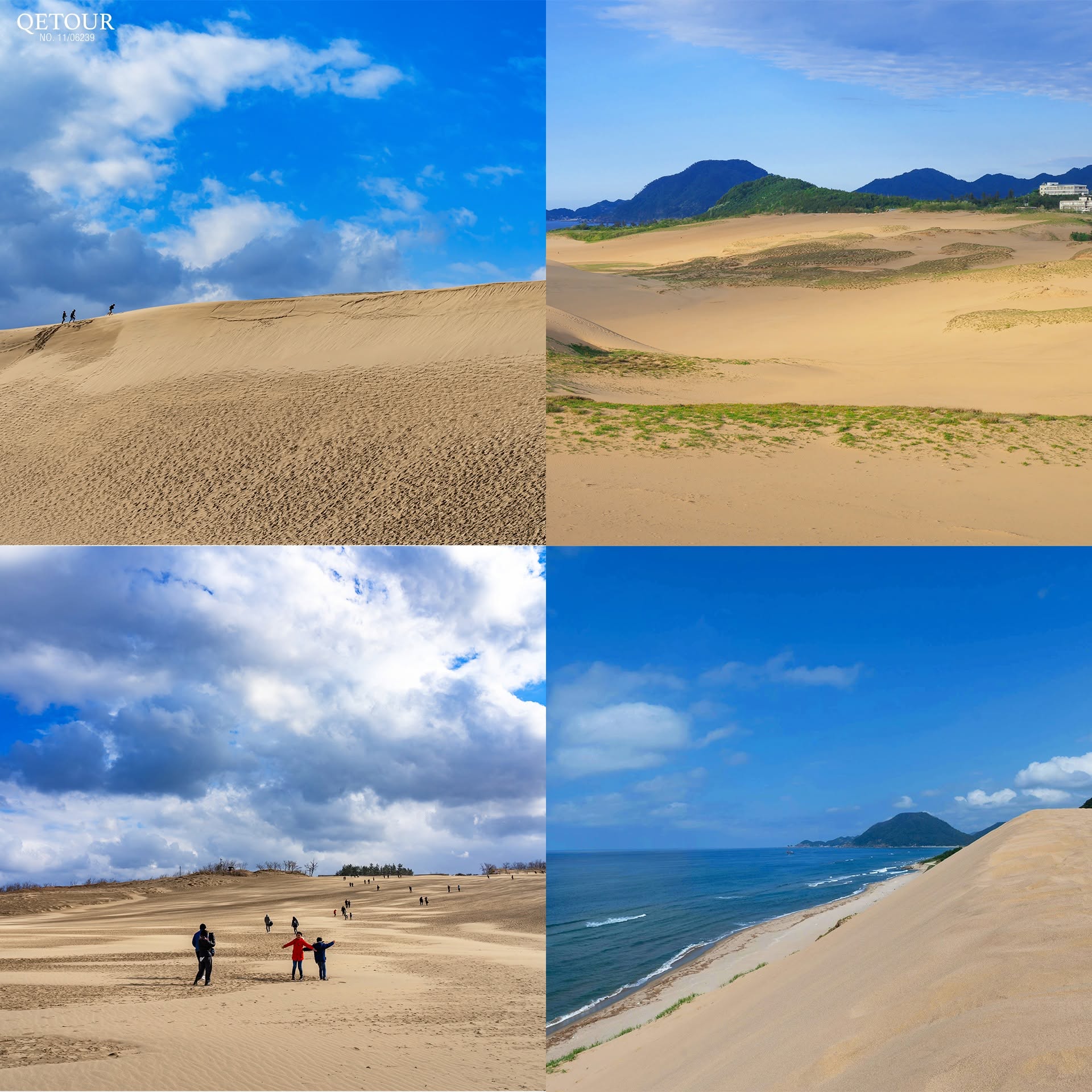 เนินทรายทตโตริ tottori sand dunes