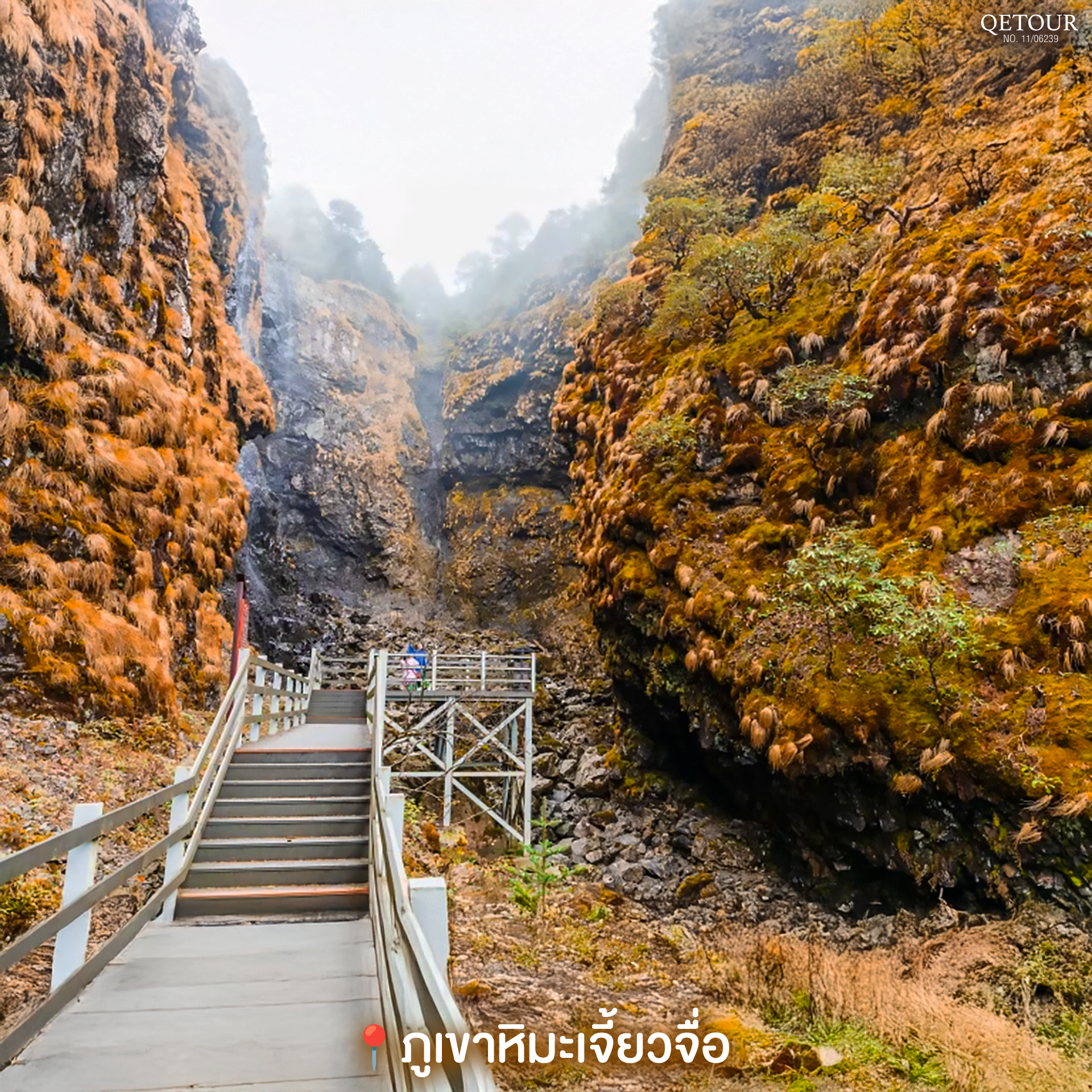 ภูเขาหิมะเจี้ยวจื่อ ใบไม้เปลี่ยนสี