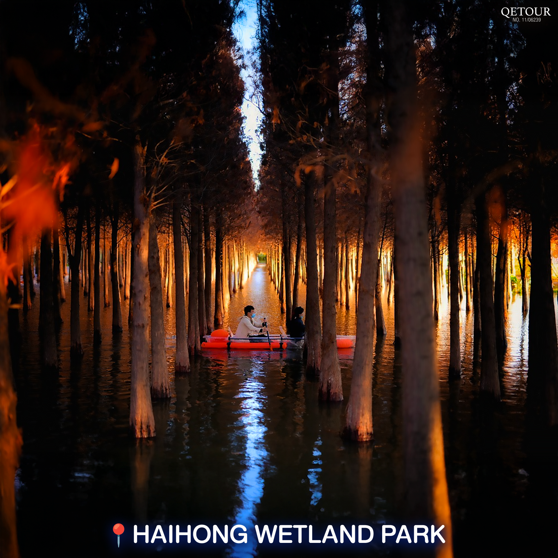 haihong wetland park ใบไม้เปลี่ยนสี