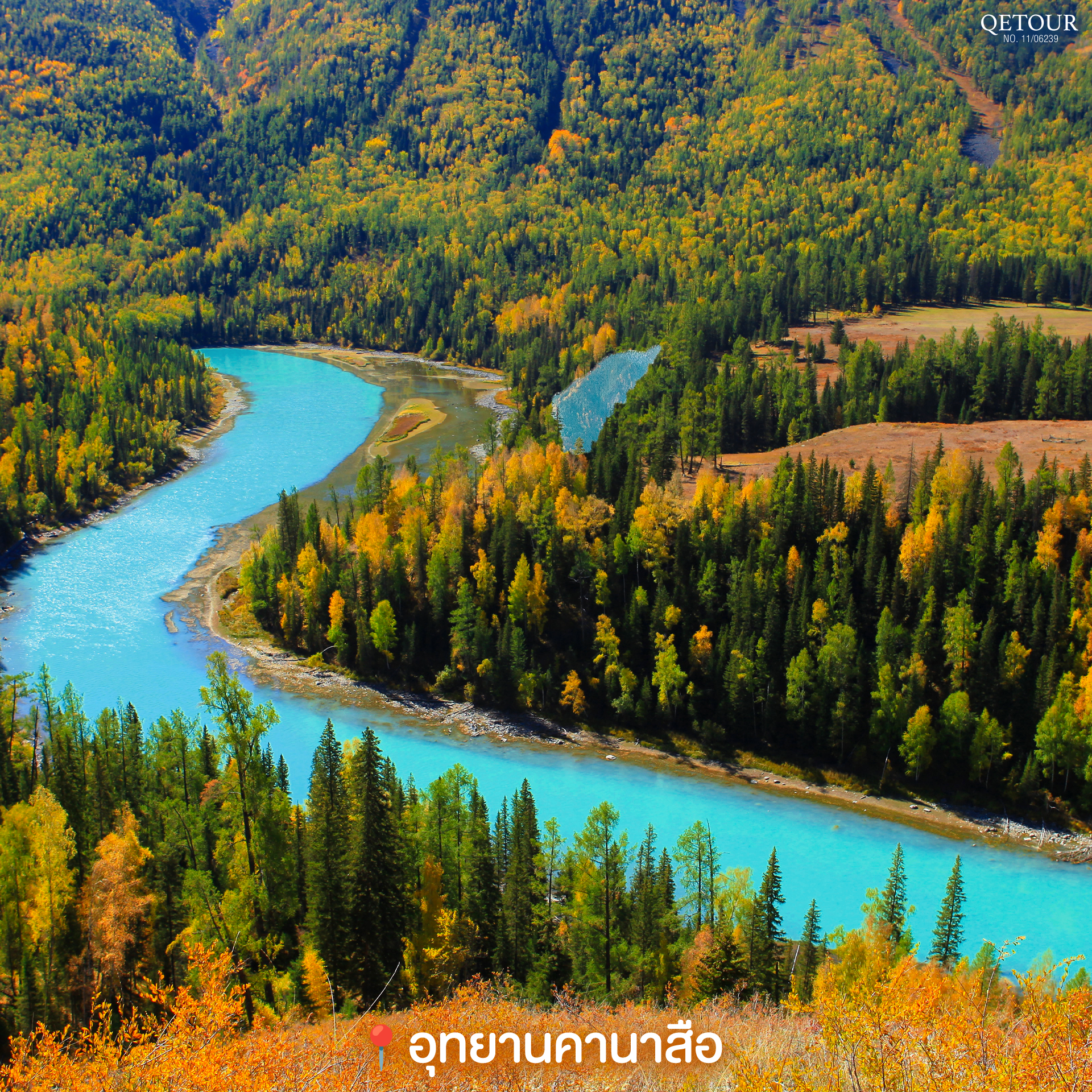 ใบไม้เปลี่ยนสี คานาสือ