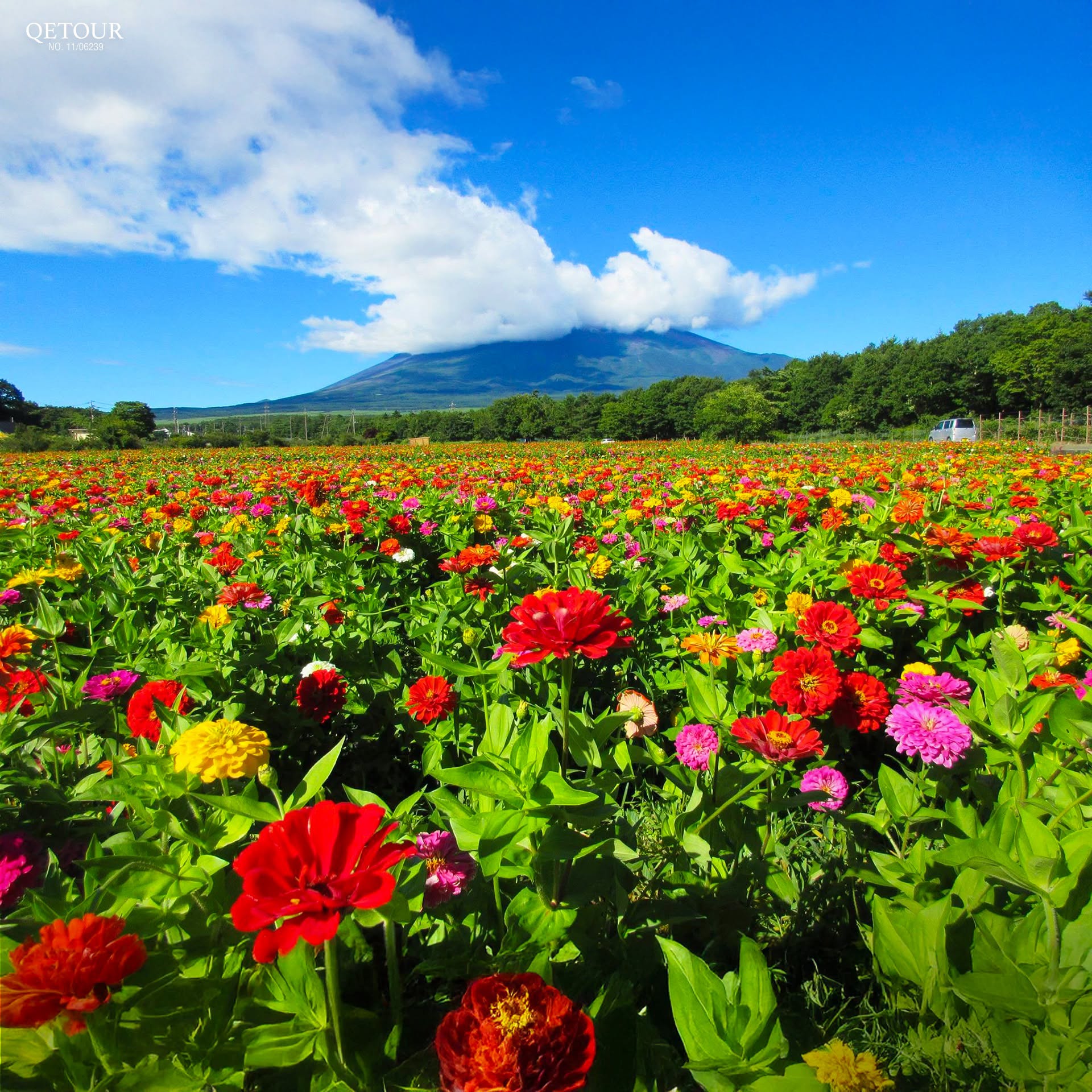 สวนดอกไม้ ฮานาโนะมิยาโกะ