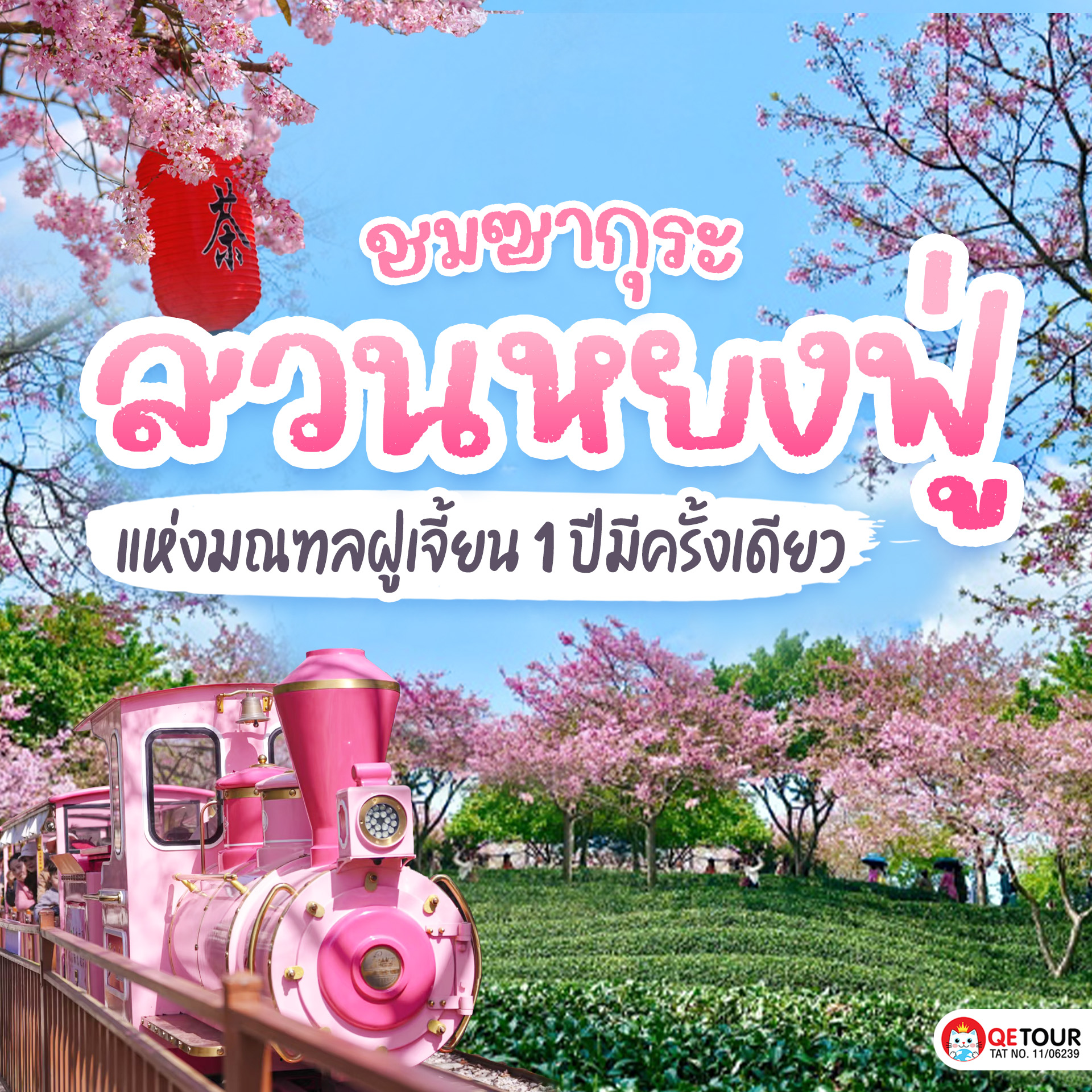 ไปฟิน ชมซากุระบานสะพรั่ง ที่สวนซากุระหยงฟู่ ที่เมืองจางผิง มณฑลฝูเจี้ยน ประเทศจีน ท่ามกลางไร่ชาขั้นบันไดสุดงดงามกับเรา