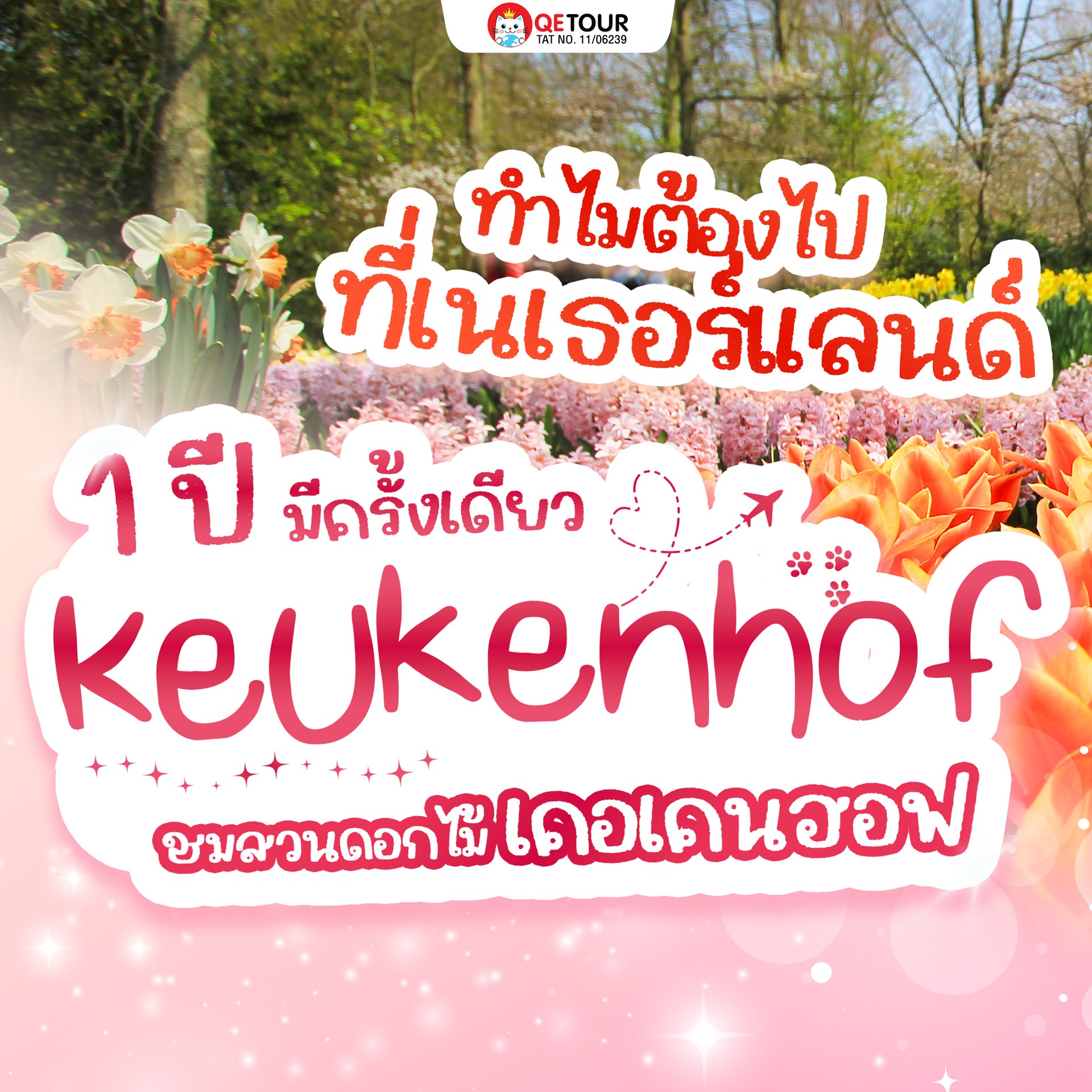 มาเที่ยวเคอเคนฮอฟ สวนดอกไม้ที่สวยที่สุดในโลก ที่เปิดปีละครั้ง เท่านั้น! ดื่มด่ำกับทิวลิปนับล้านต้นและบรรยากาศสุดโรแมนติก
