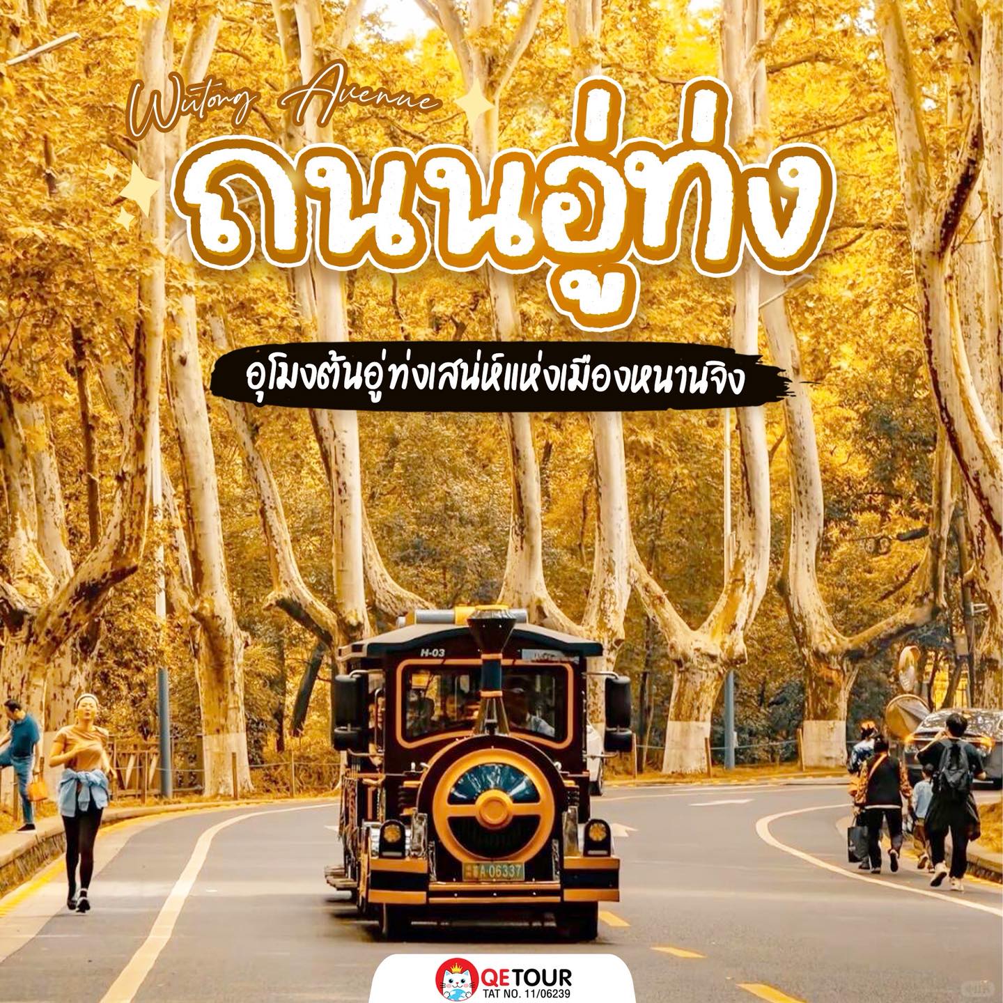 สองข้างทางถนนอู่ท่ง หนานจิง ต้นไม้เปลี่ยนสีเหลืองทอง-ส้ม สวยเหมือนอุโมงค์ธรรมชาติ โรแมนติกสุด!