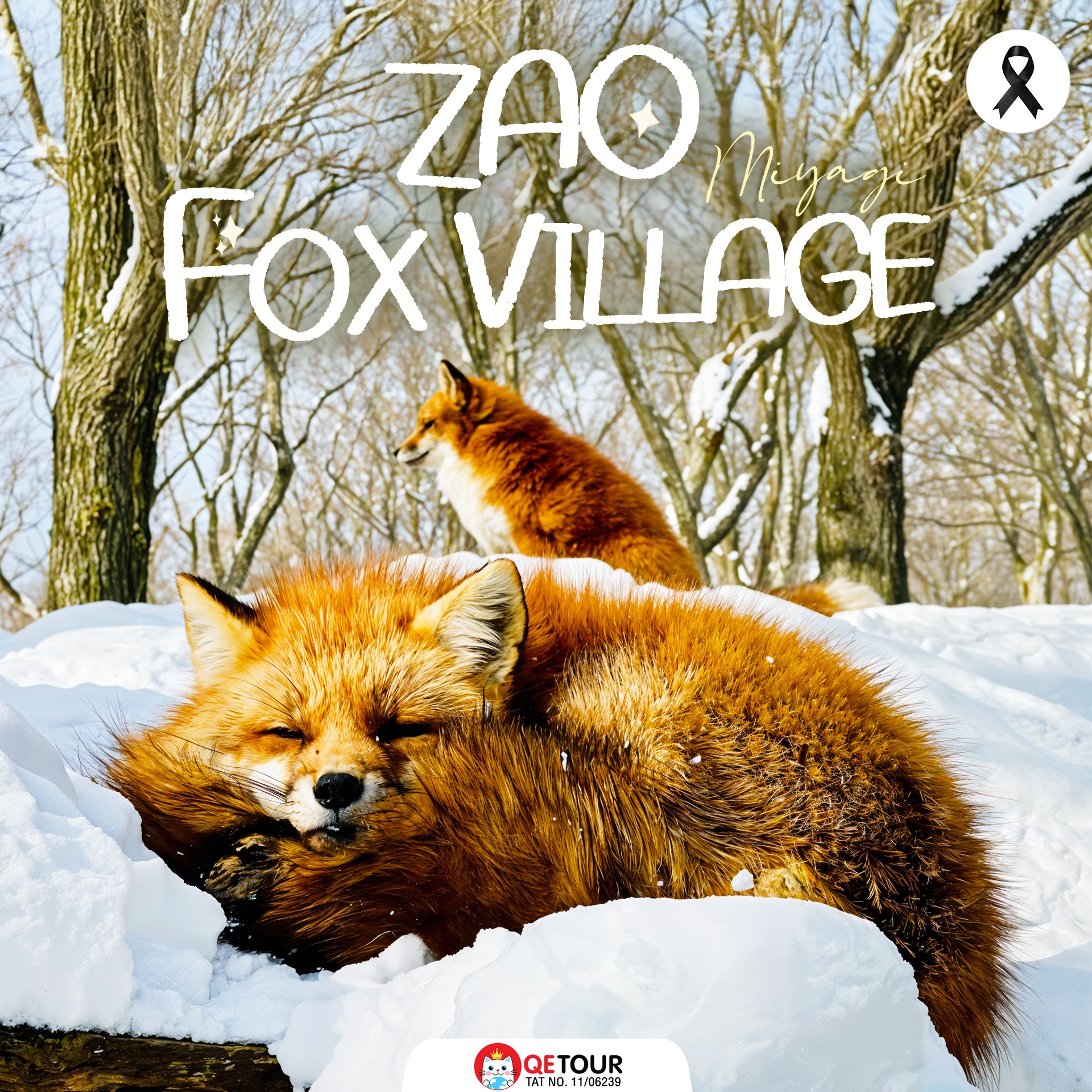 หมู่บ้านสุนัขจิ้งจอกซาโอะ สวรรค์ของน้องกว่า 100 ตัว เดินเล่นอิสระท่ามกลางธรรมชาติ เหล่าคิทสึเนะผู้ผูกโยงตำนานเทพอินาริ